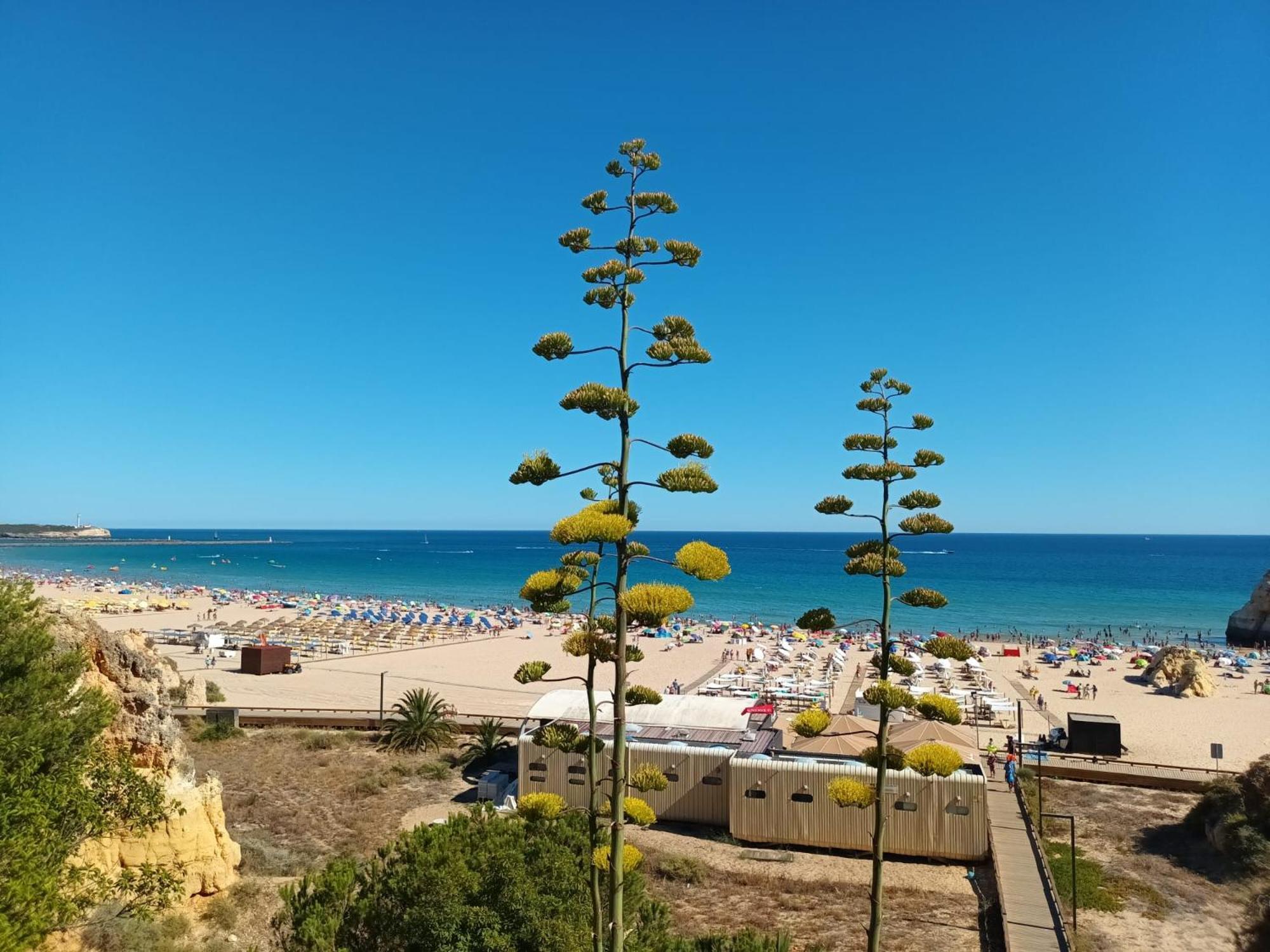 Luxury 2 Min Beach With Balcony, Ocean View, Wifi, Ac, Smarttv *