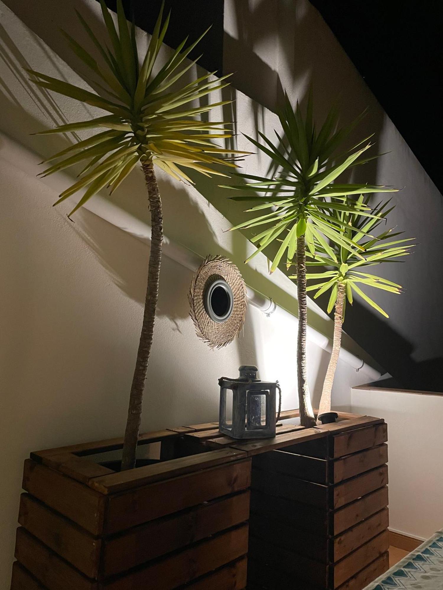 Golden Club- Eyes On Sea Cabanas De Tavira