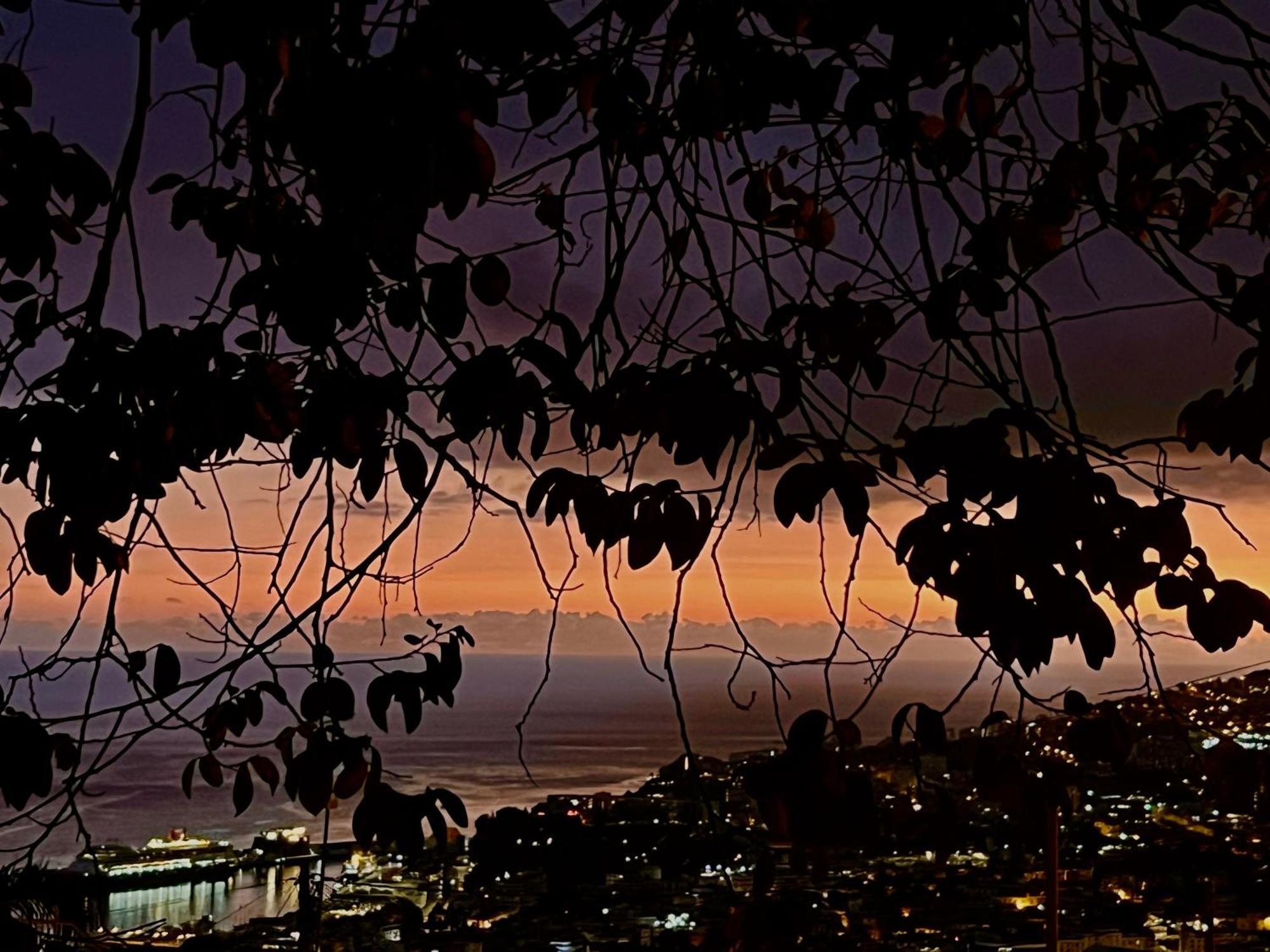 Casa Flores * Funchal (Madeira)