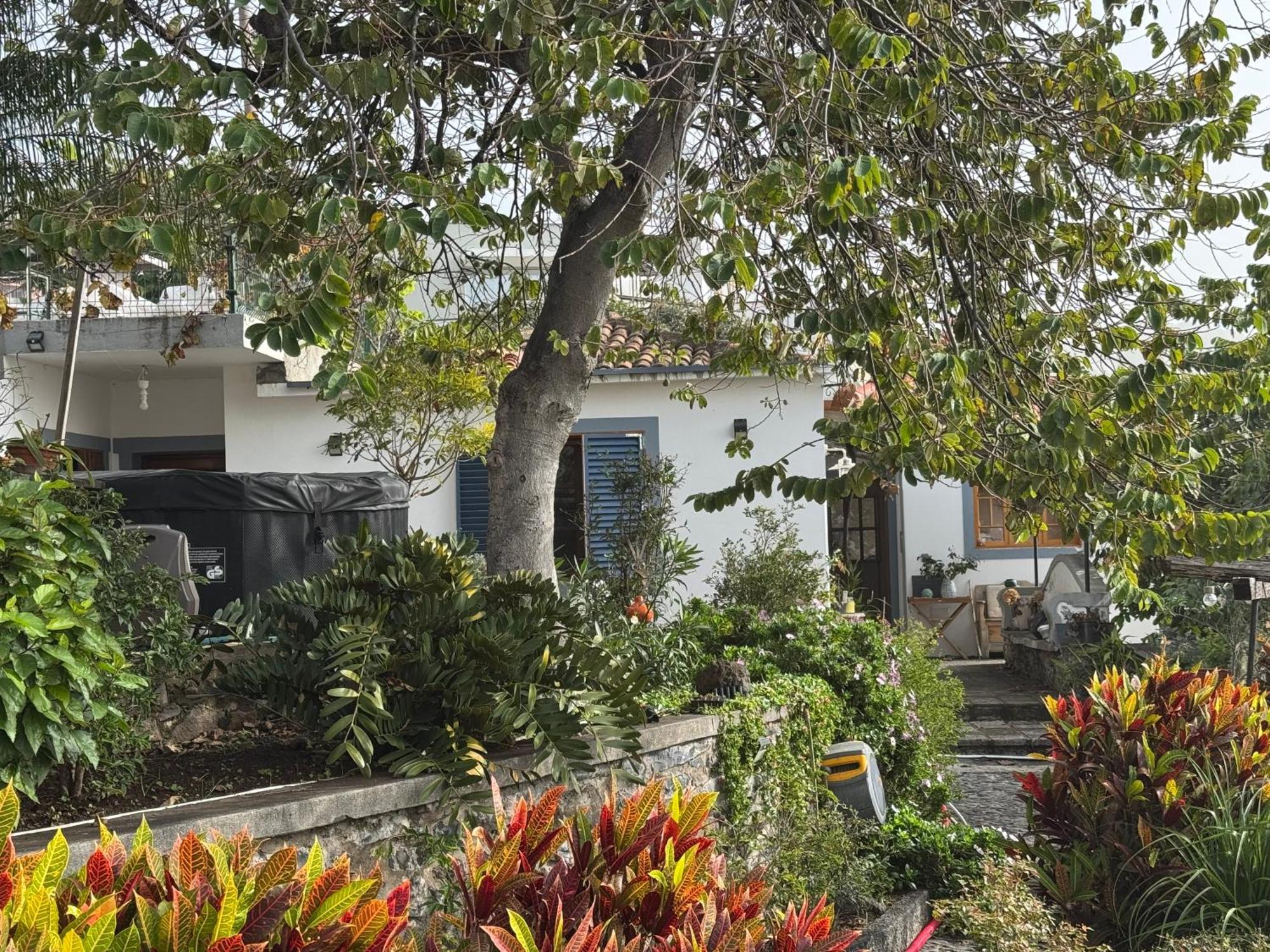 Casa Flores *