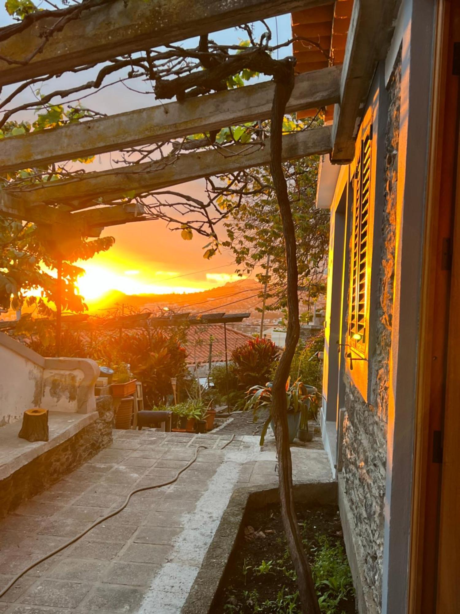 Casa Flores Homestay