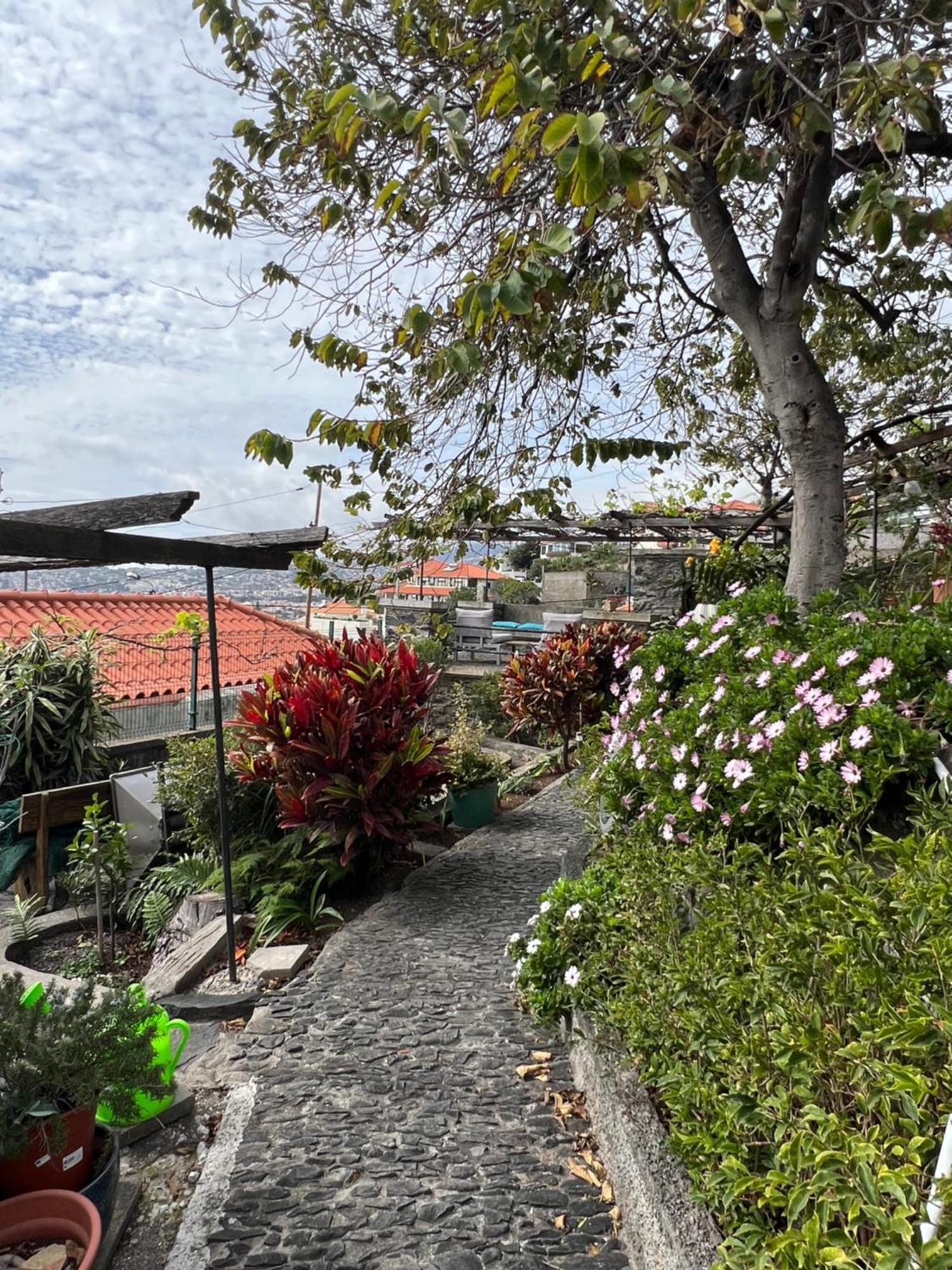 Casa Flores Homestay Funchal (Madeira)