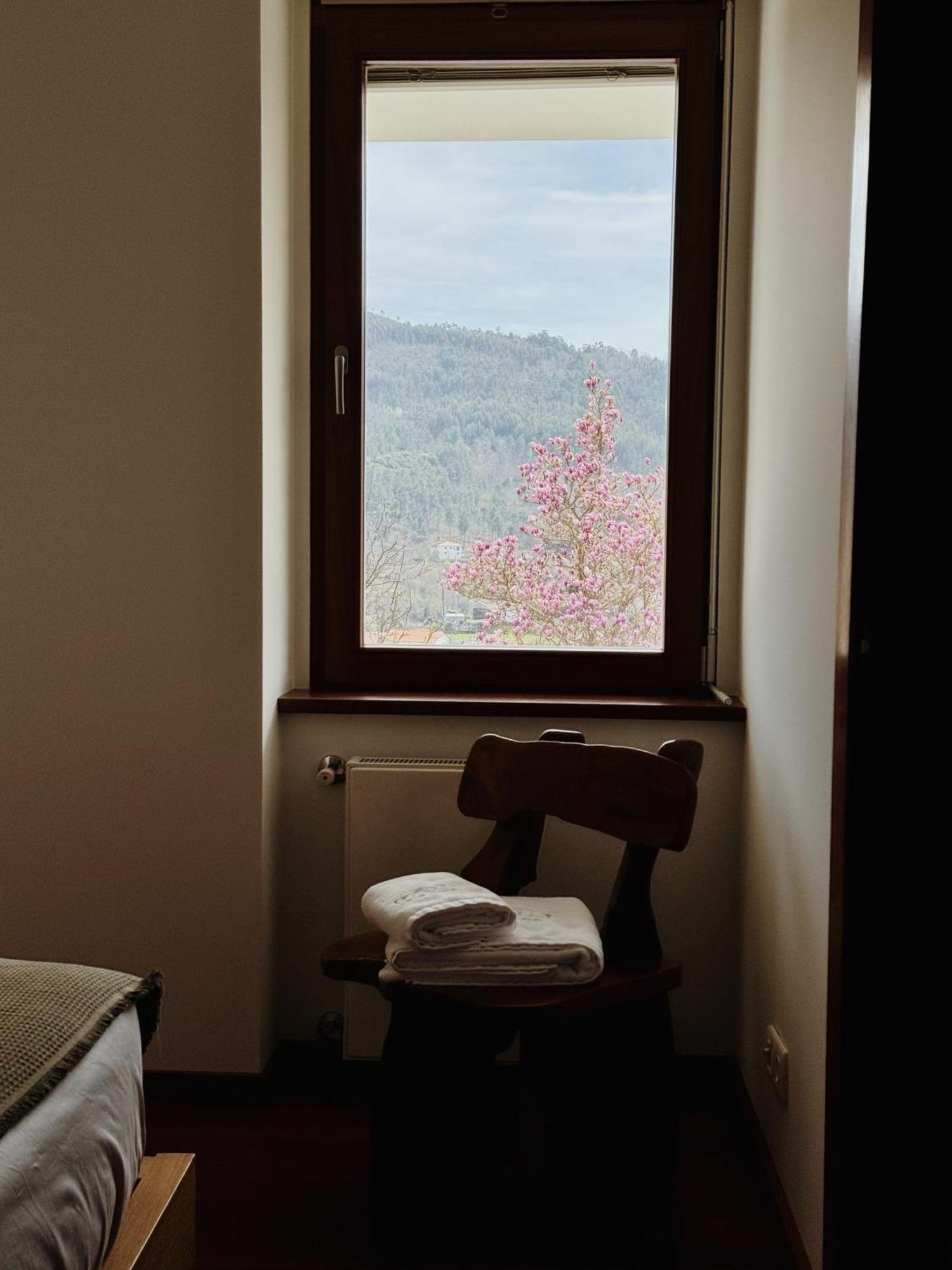 Quinta Trindade Bed & Breakfast Arouca