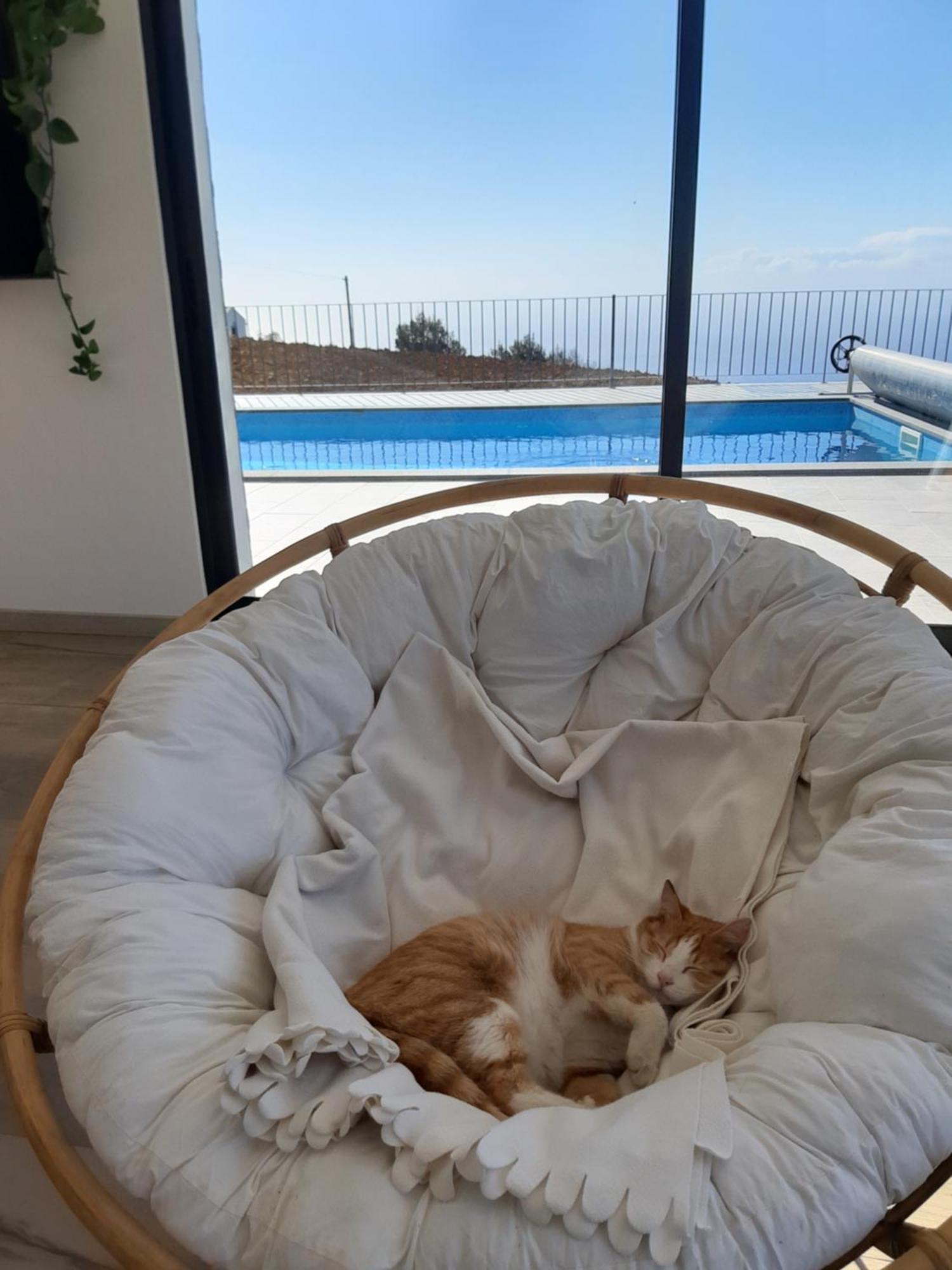 Casa Dos Avos * Faja da Ovelha