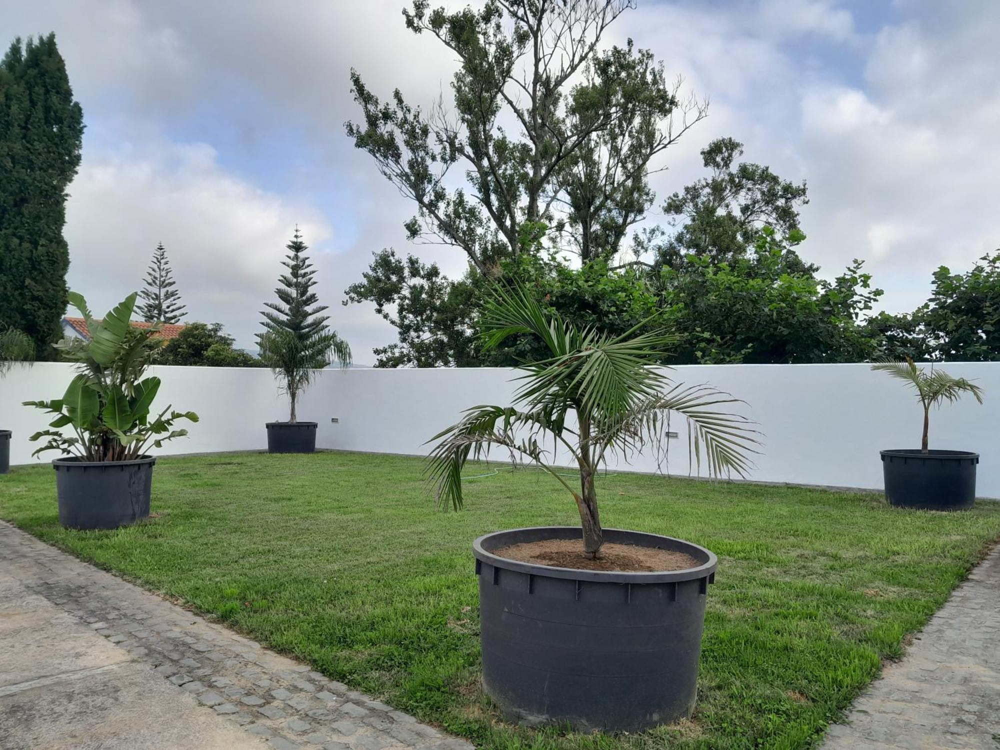 Espaco Roteiro De Mimos * Sao Vicente Ferreira