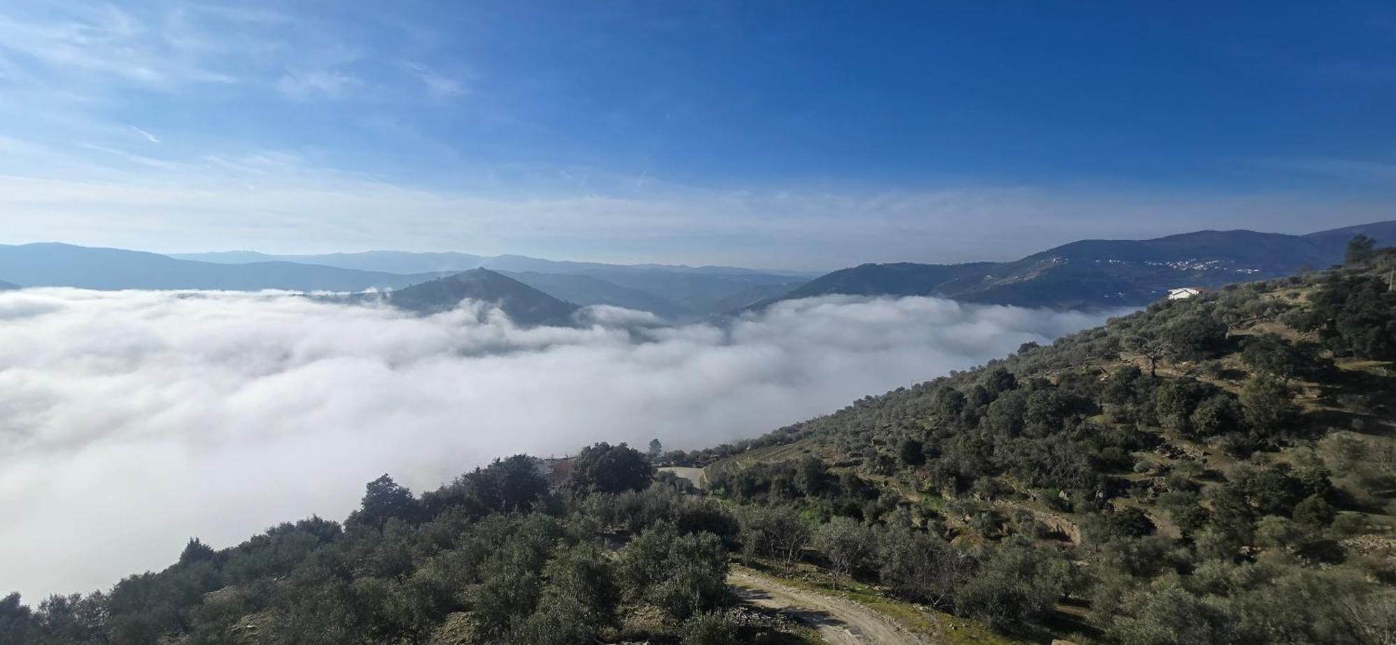 Vakantiehuis Quinta Vale Papas Casal de Loivos