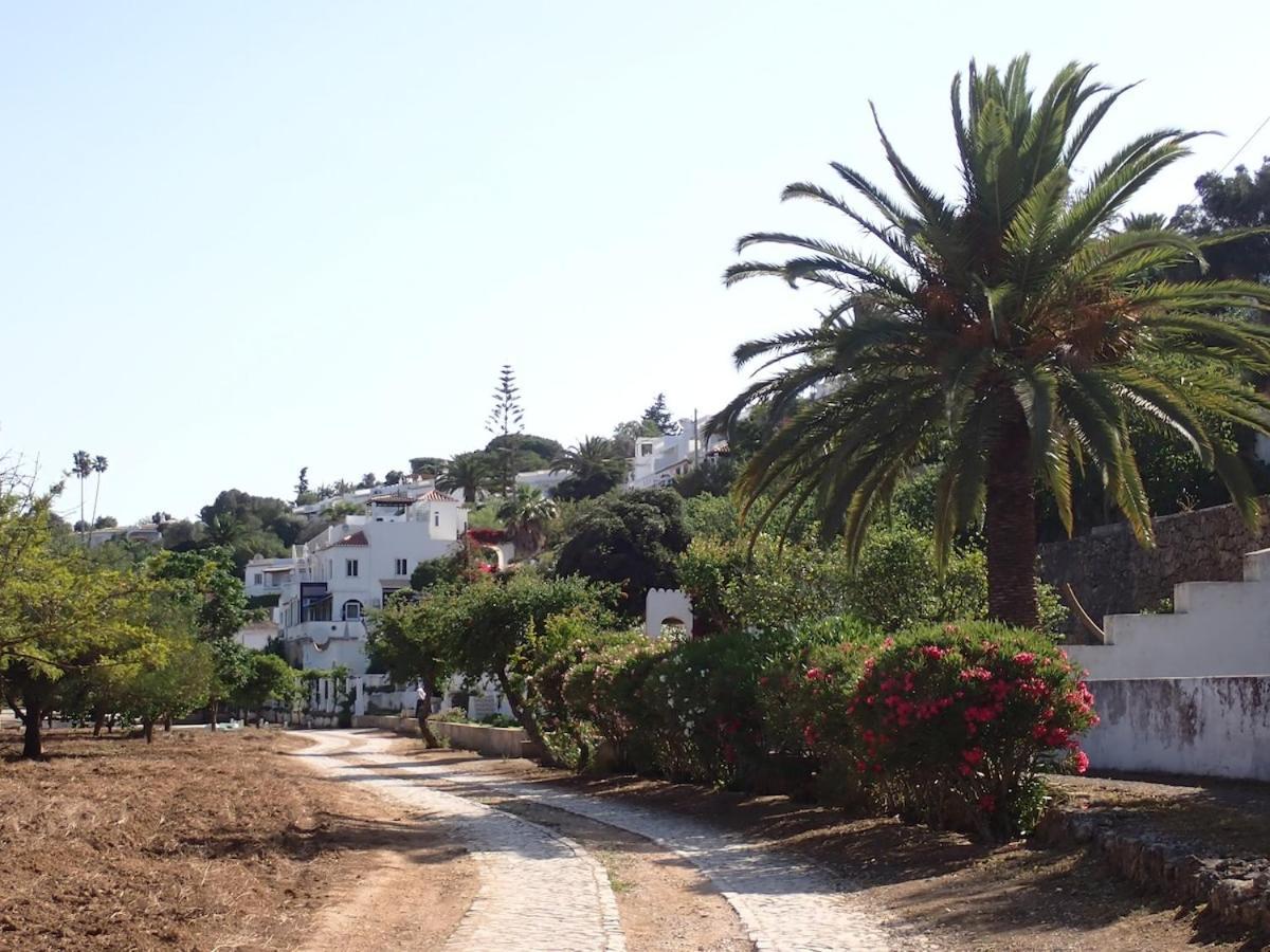Holiday home Casa Palmeria , Quinta Da Saudade Armacao de Pera