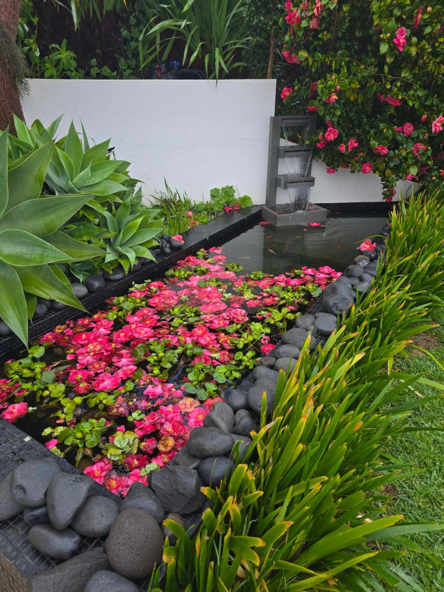 Horizon Retreat Accommodatie bij particulieren Calheta (Madeira)