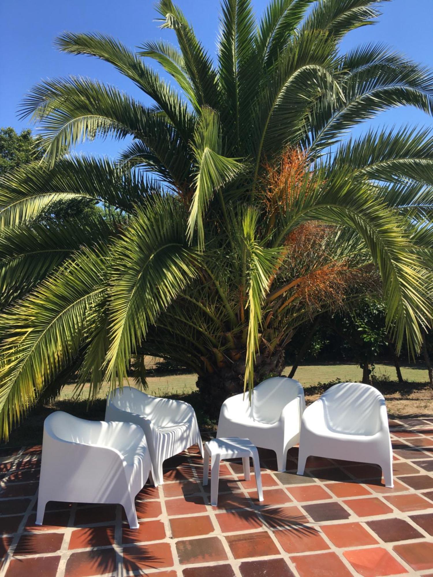 Quinta De Mocamedes - Turismo De Habitacao * Vouzela