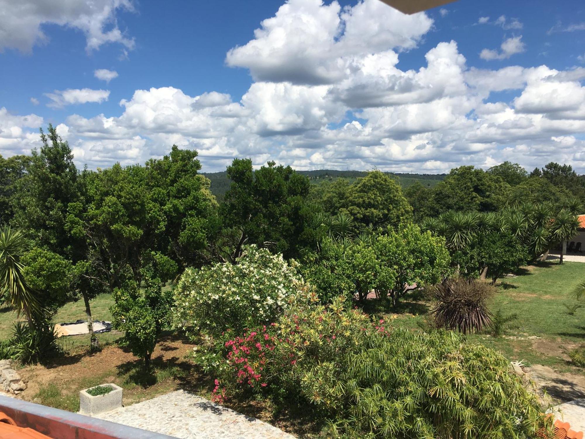 Quinta De Mocamedes - Turismo De Habitacao