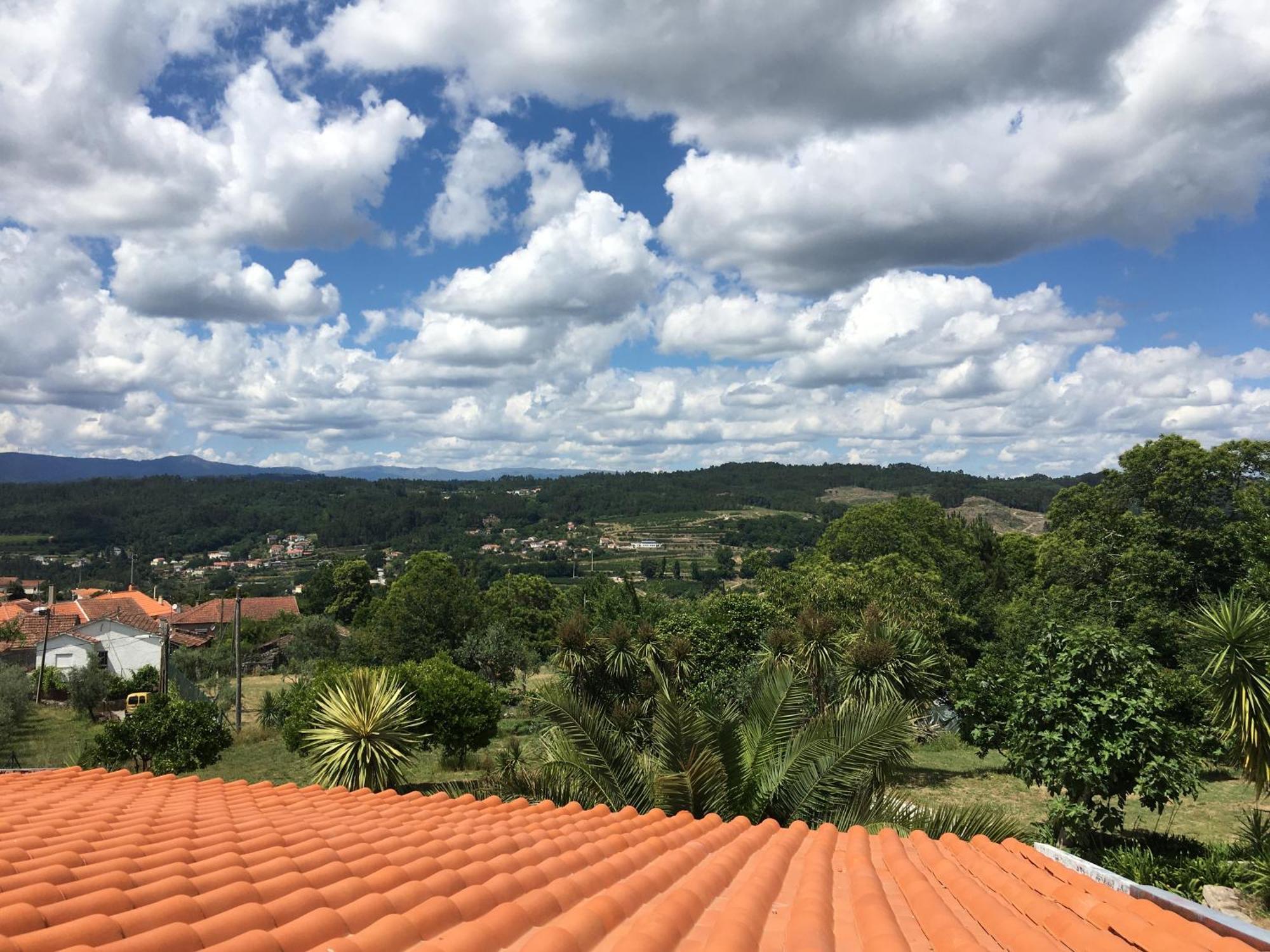 Quinta De Mocamedes - Turismo De Habitacao