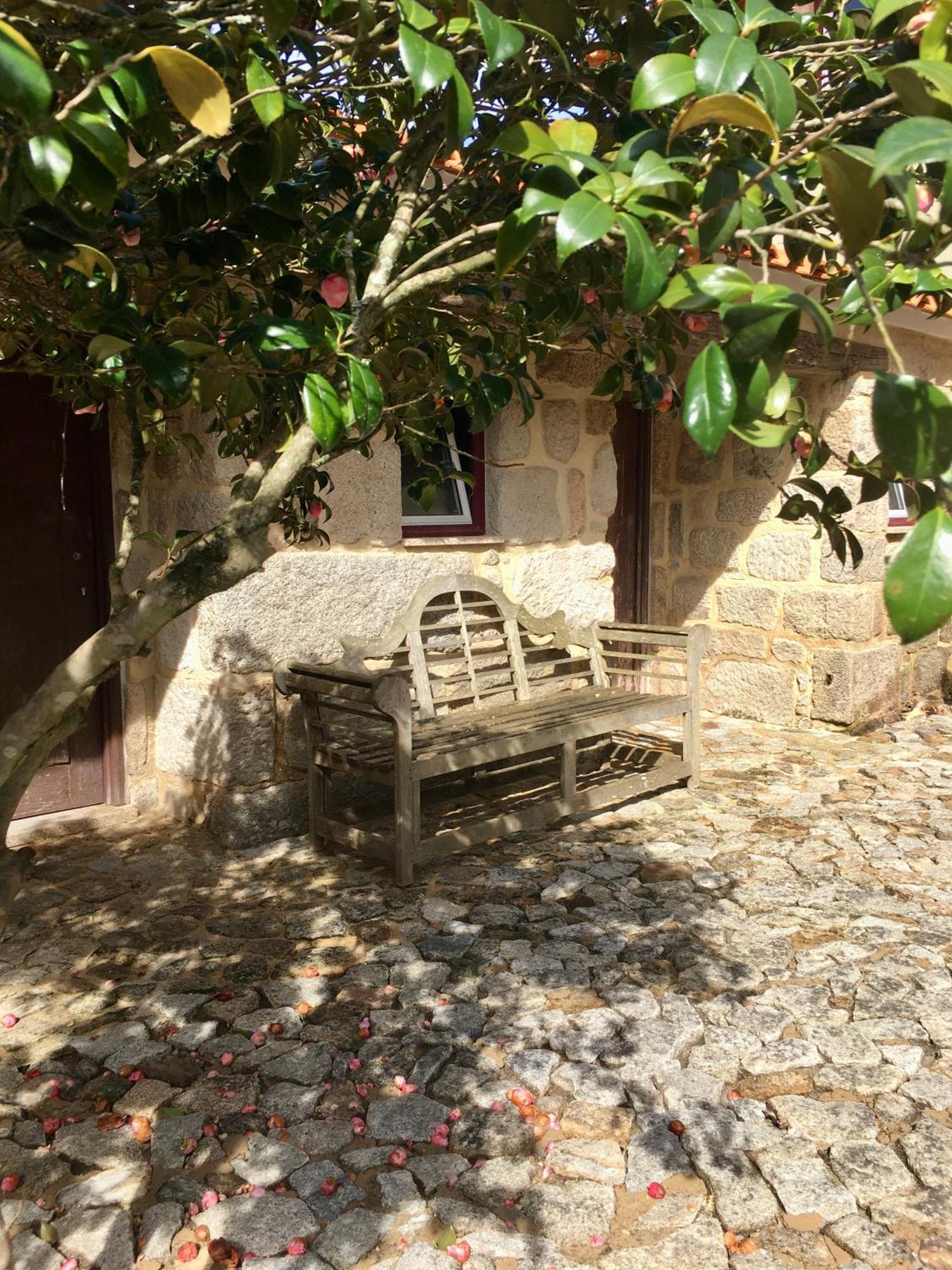 Quinta De Mocamedes - Turismo De Habitacao * Vouzela