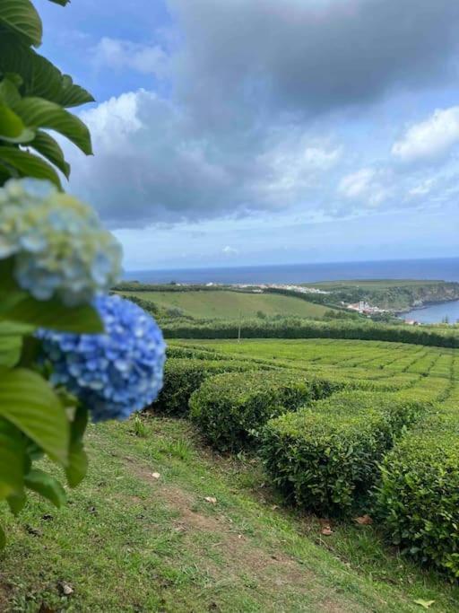Vento Do Nordeste - With Jacuzzi * Nordeste (Azores)