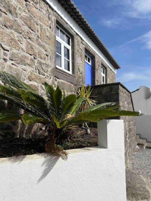 Chalet Vento Do Nordeste - With Jacuzzi Nordeste (Azores)
