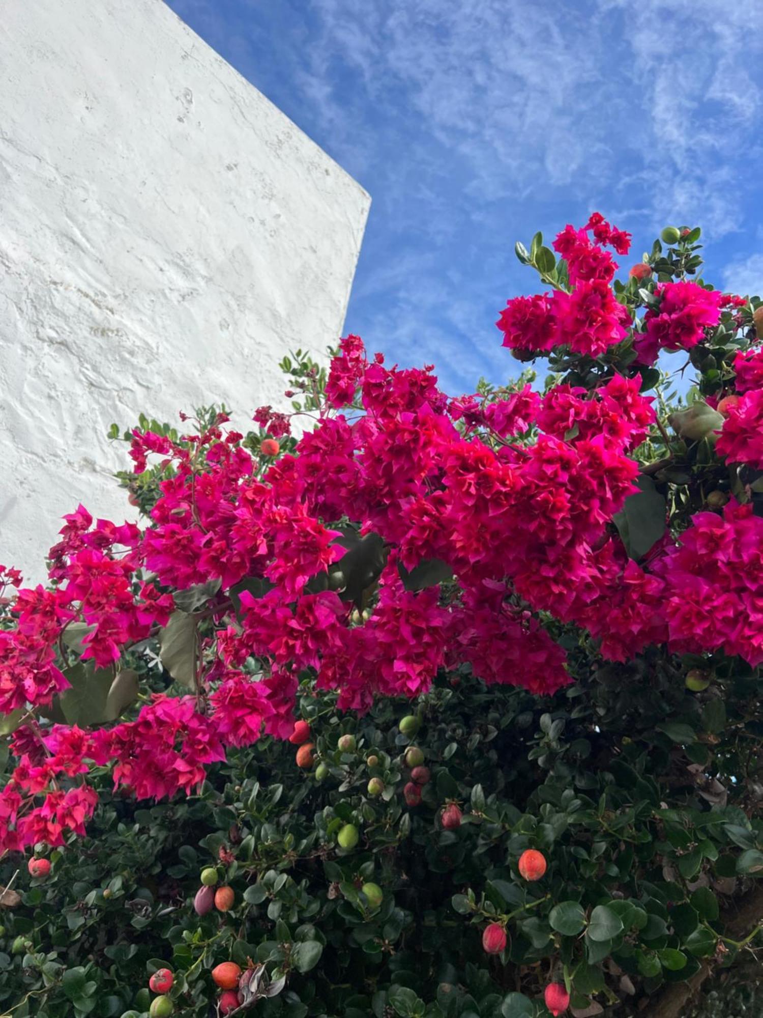 Bed and breakfast Wellbeing Casa E Connosco *