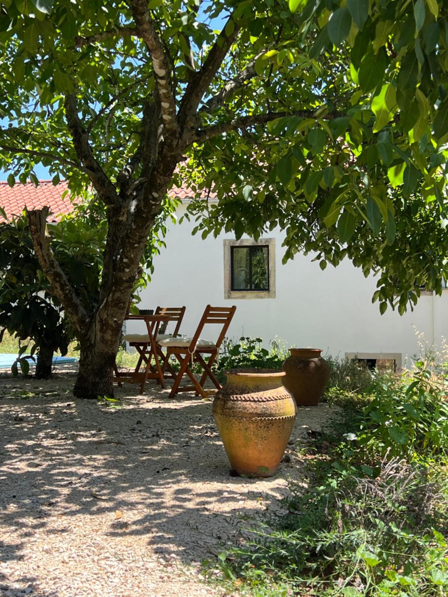 Bed and breakfast Wellbeing Casa E Connosco Alvaiázere