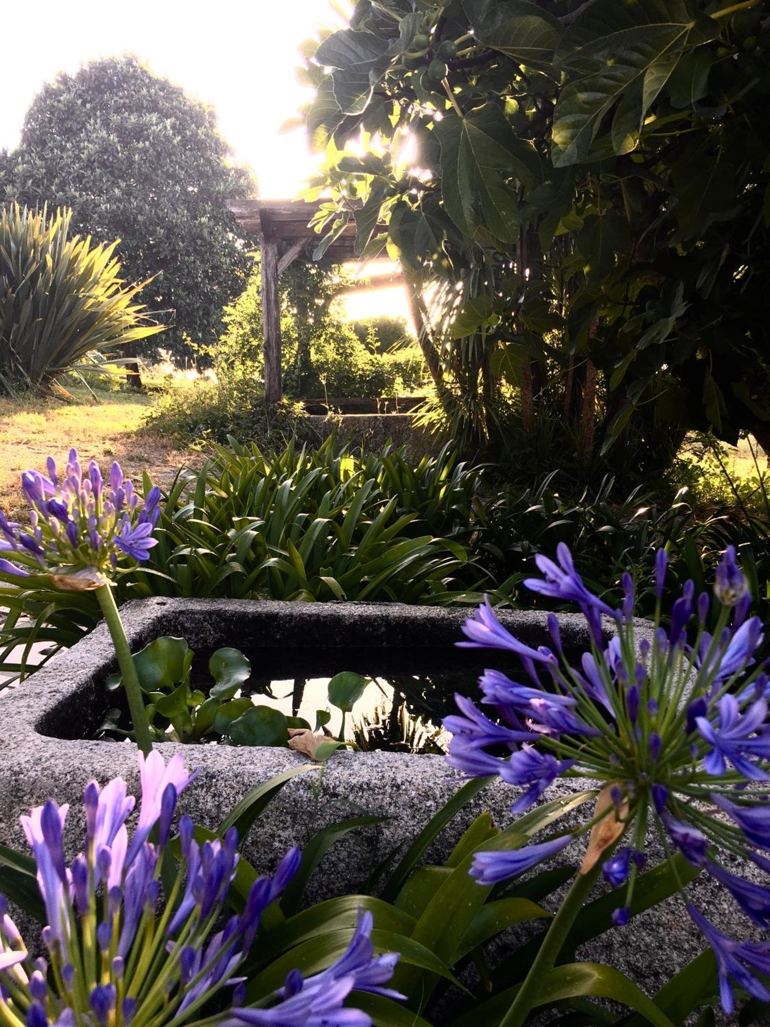 Quinta De Mocamedes - Turismo De Habitacao Hotel *