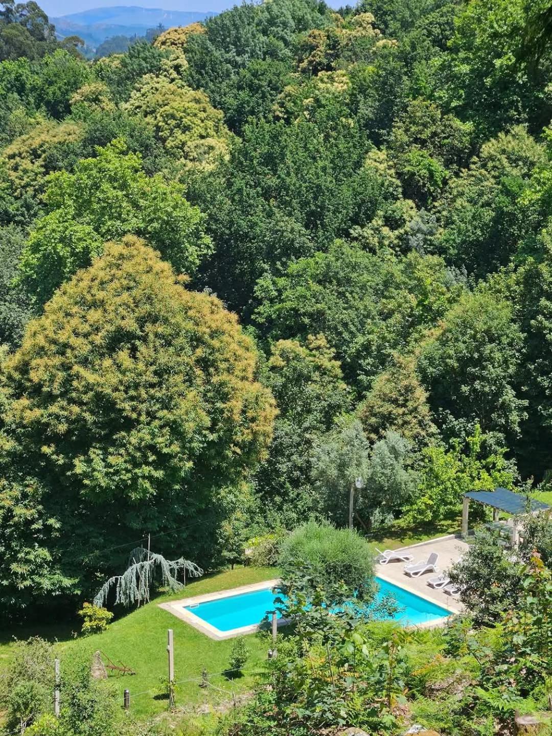 Villa Casas Guimbras *