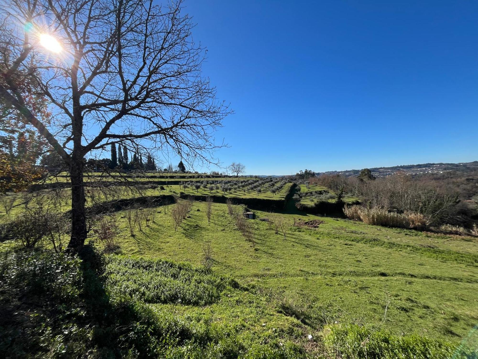 Farm stay Quinta Casa Do Retiro