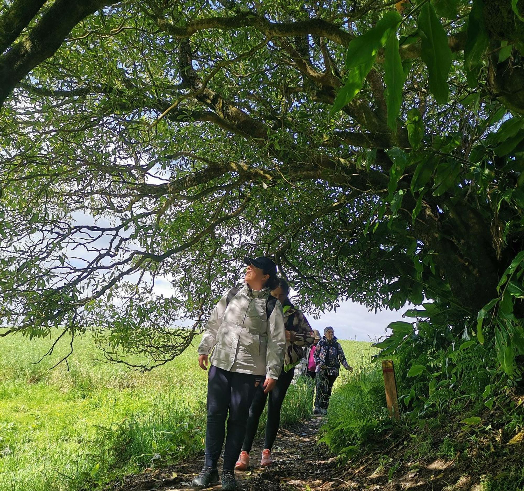 Casa de férias Nikau - Garden By The Sea Lagoa (Azores)