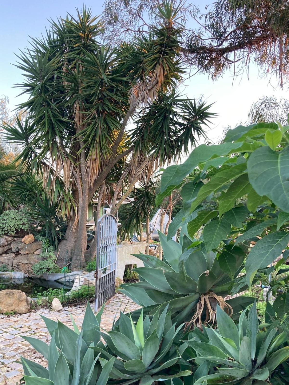 Quinta Bohemia Сasa de vacaciones Moncarapacho