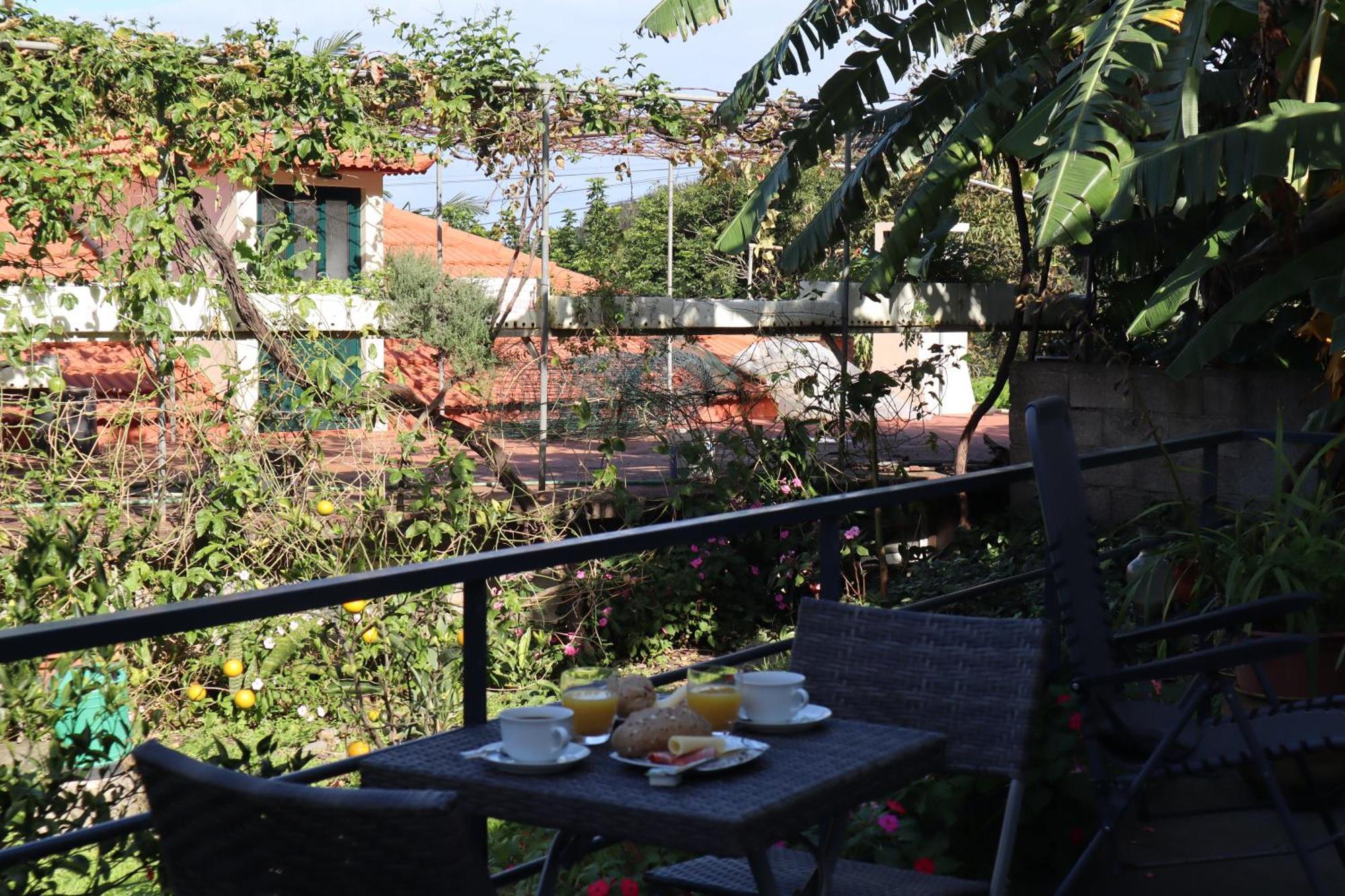 Casa Do Tio Albino Ii Apartment