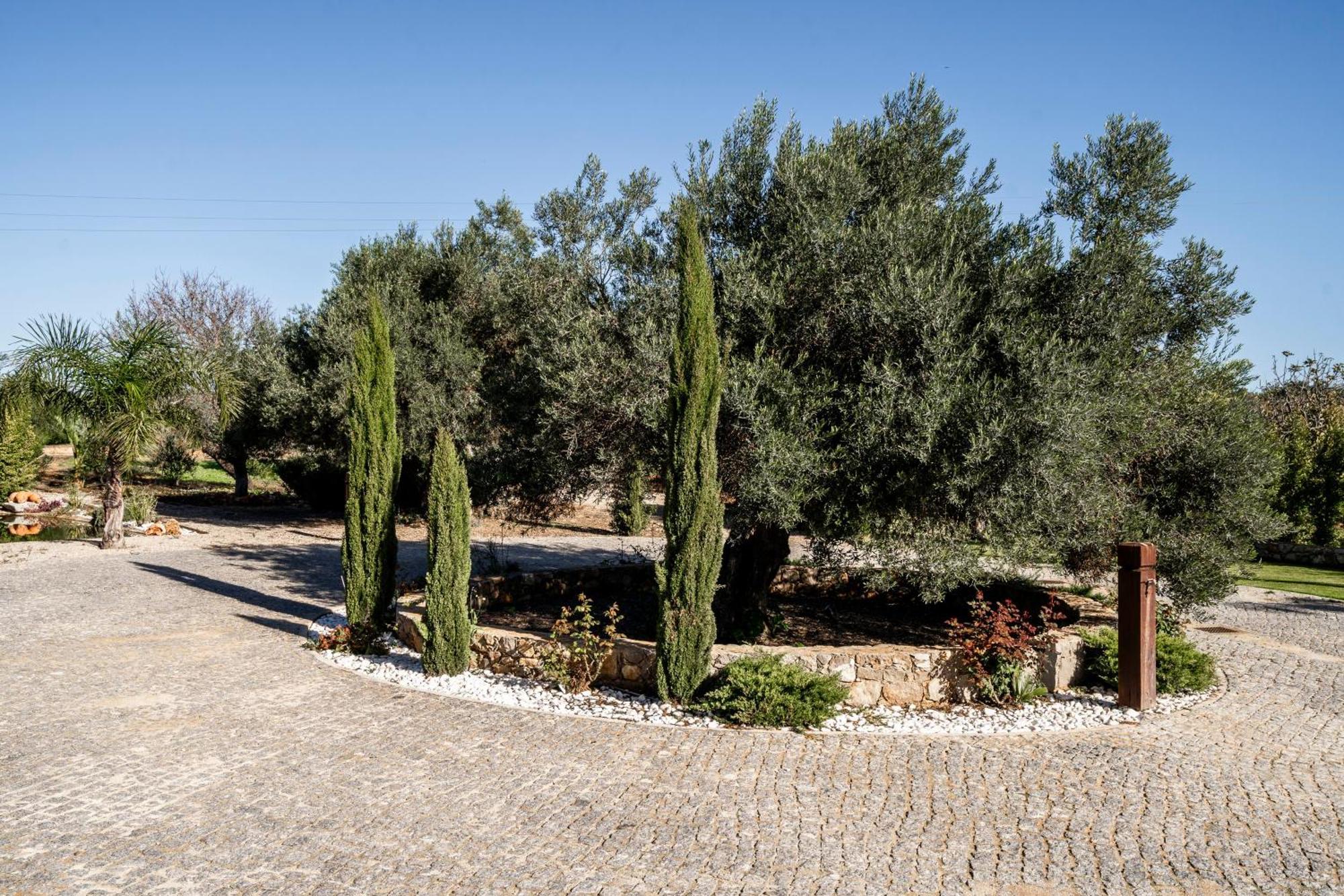 Mit Pool Und Grossem Garten Holiday home