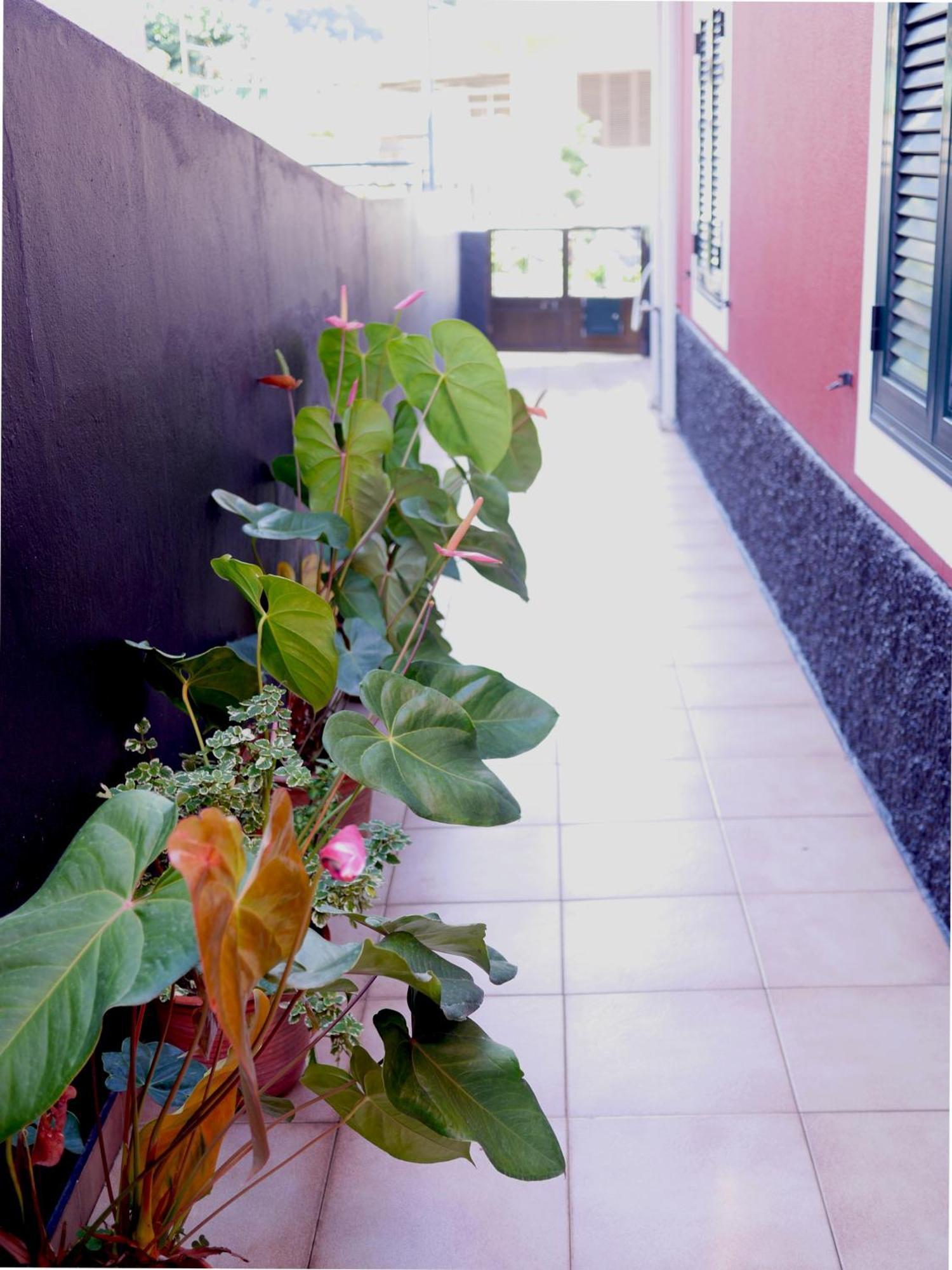 Apartamento Sea & Mountain View Lombo De Cima House Bbq & Wifi *