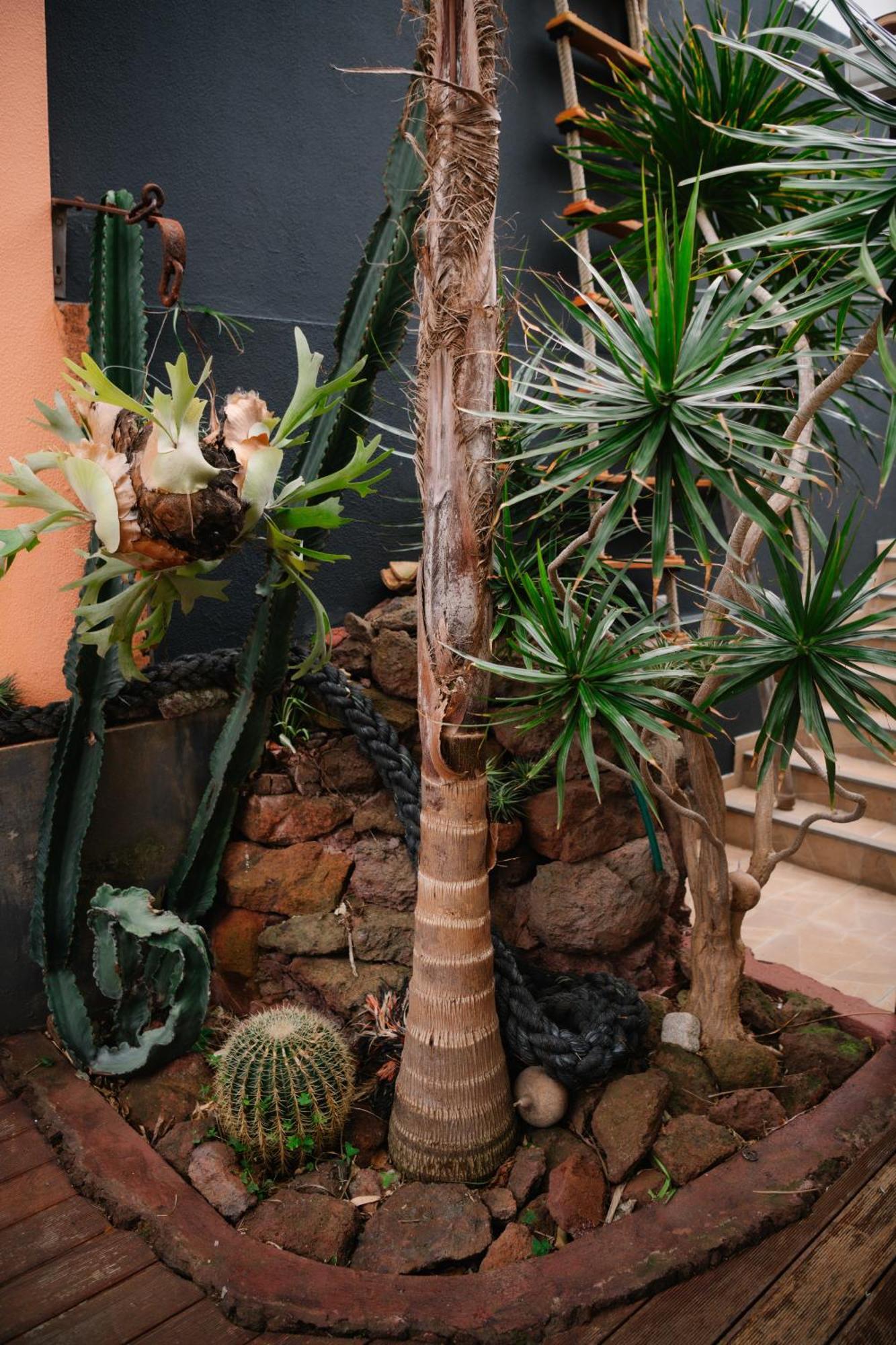 Casa Do Remo Canical (Madeira)