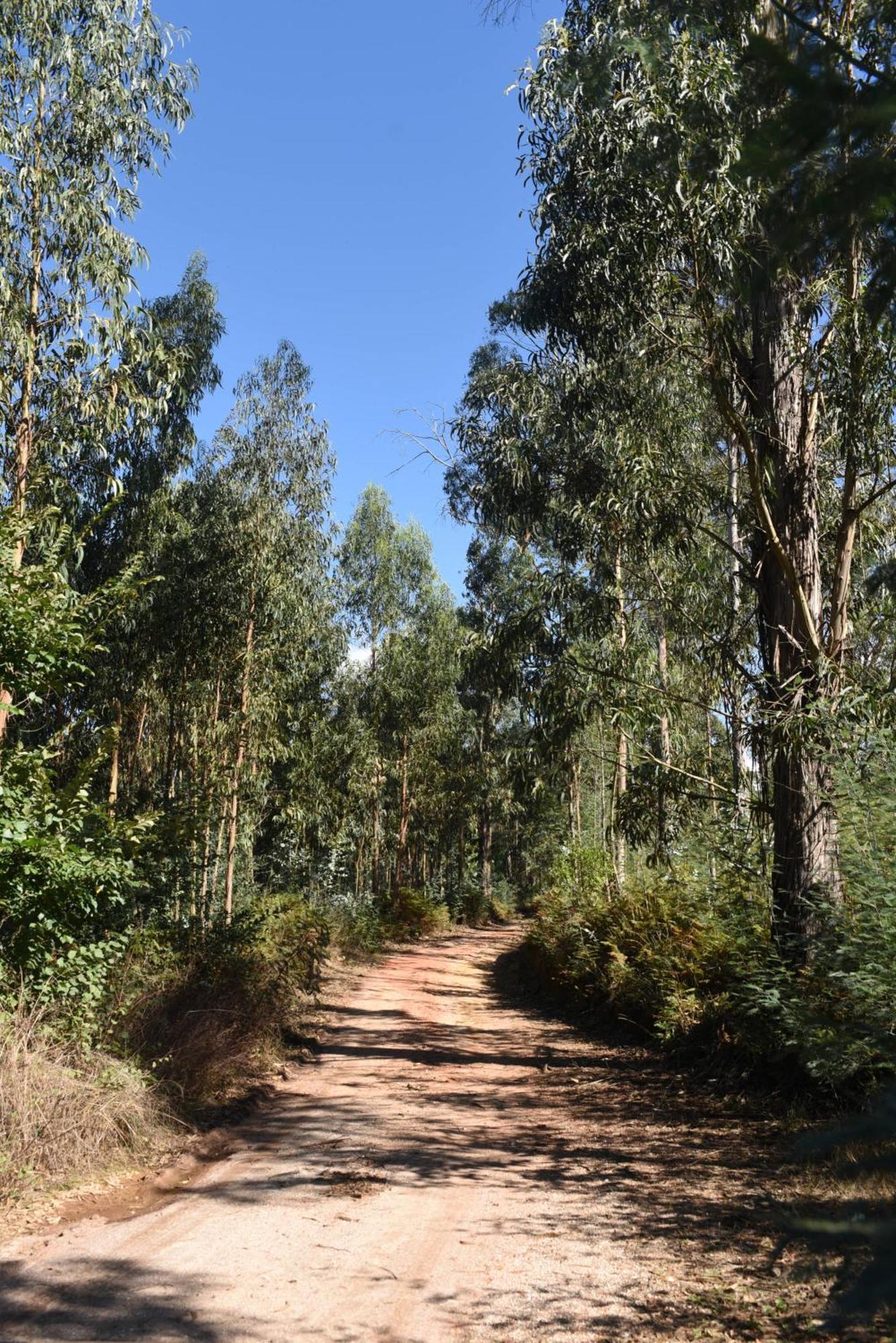Holiday park Vumba