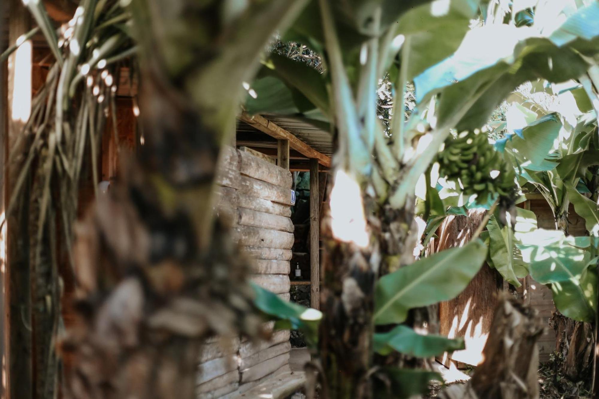 Banana Eco Camp Campsite