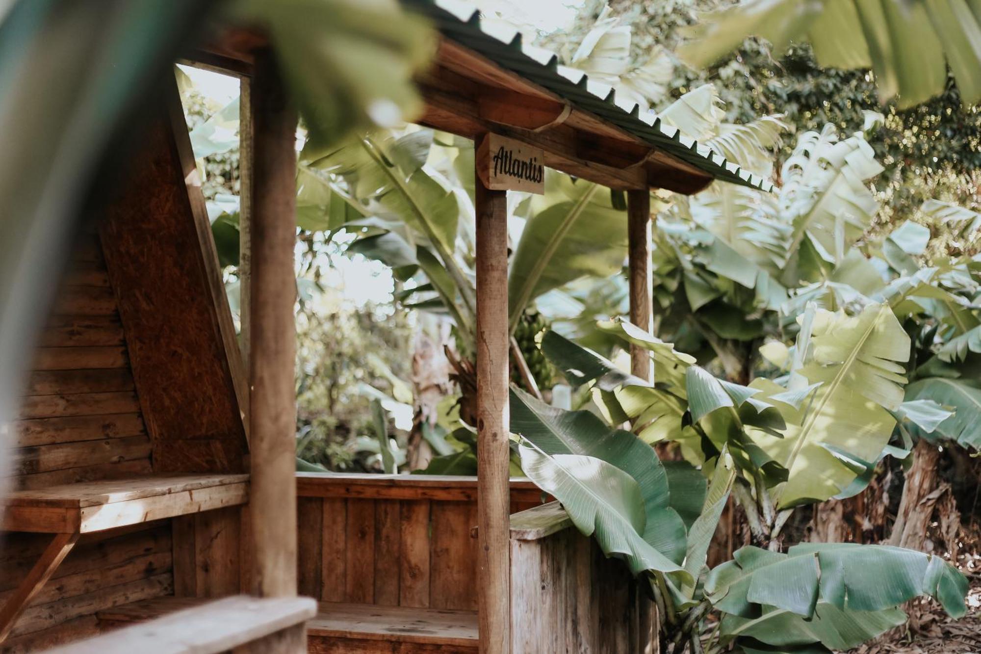 Banana Eco Camp *
