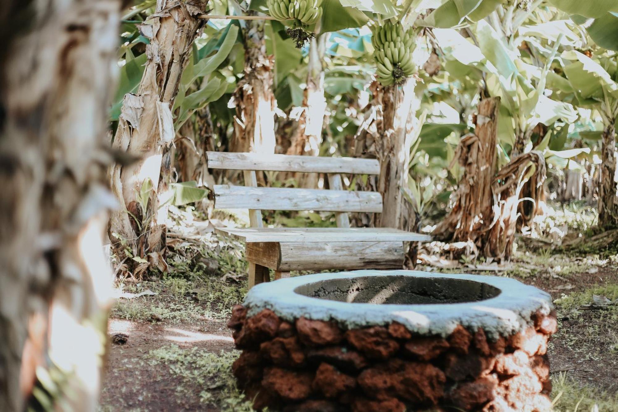 Campsite Banana Eco Camp Angra do Heroismo