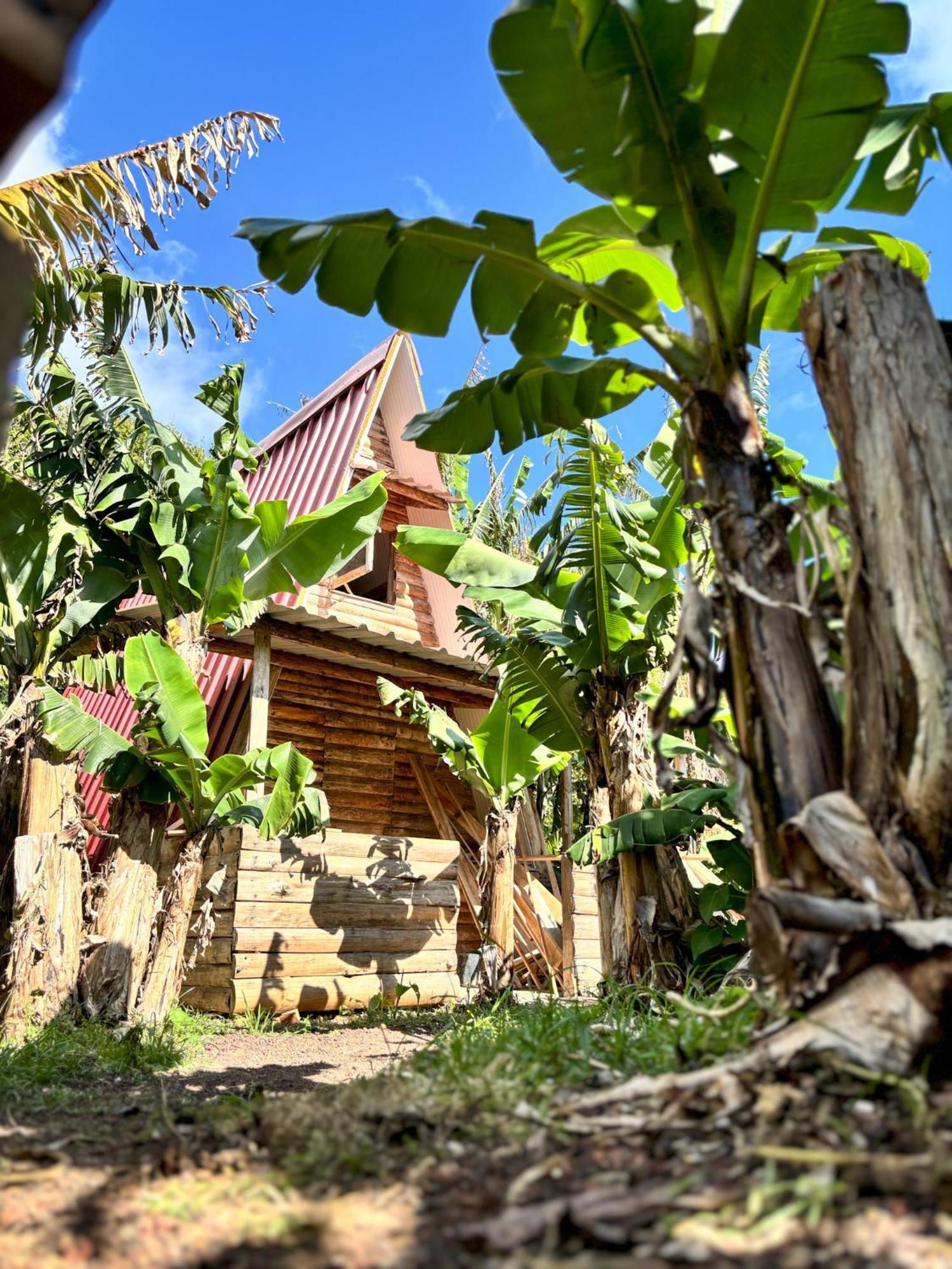 Banana Eco Camp