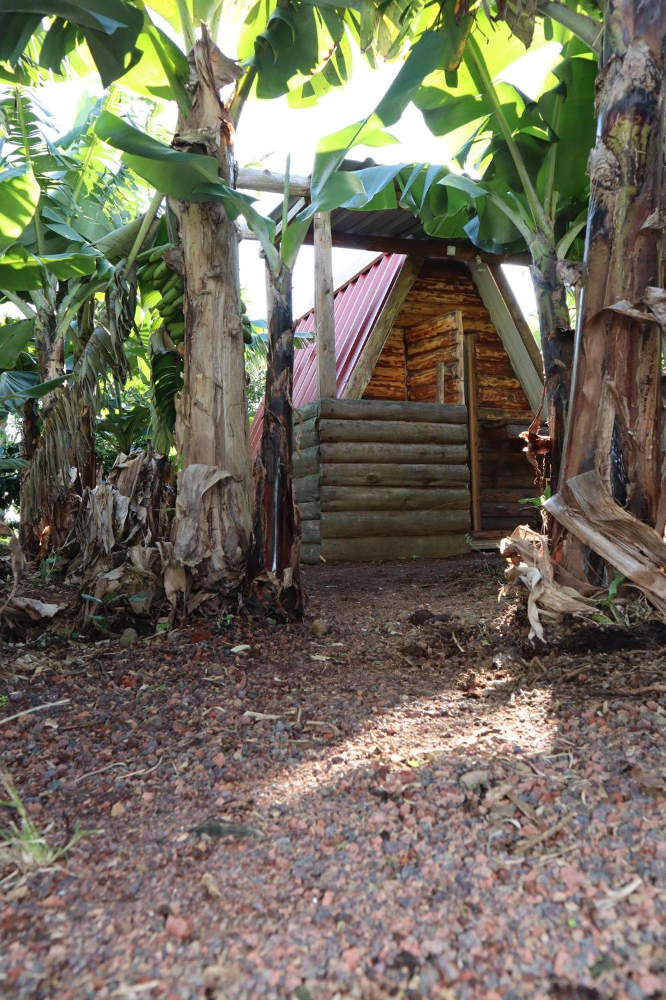 Banana Eco Camp