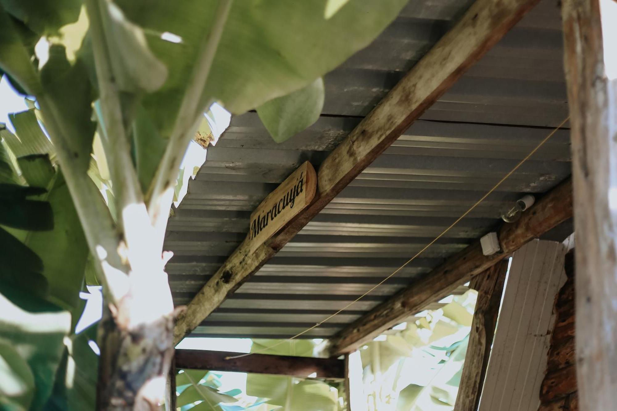 Banana Eco Camp Campsite *