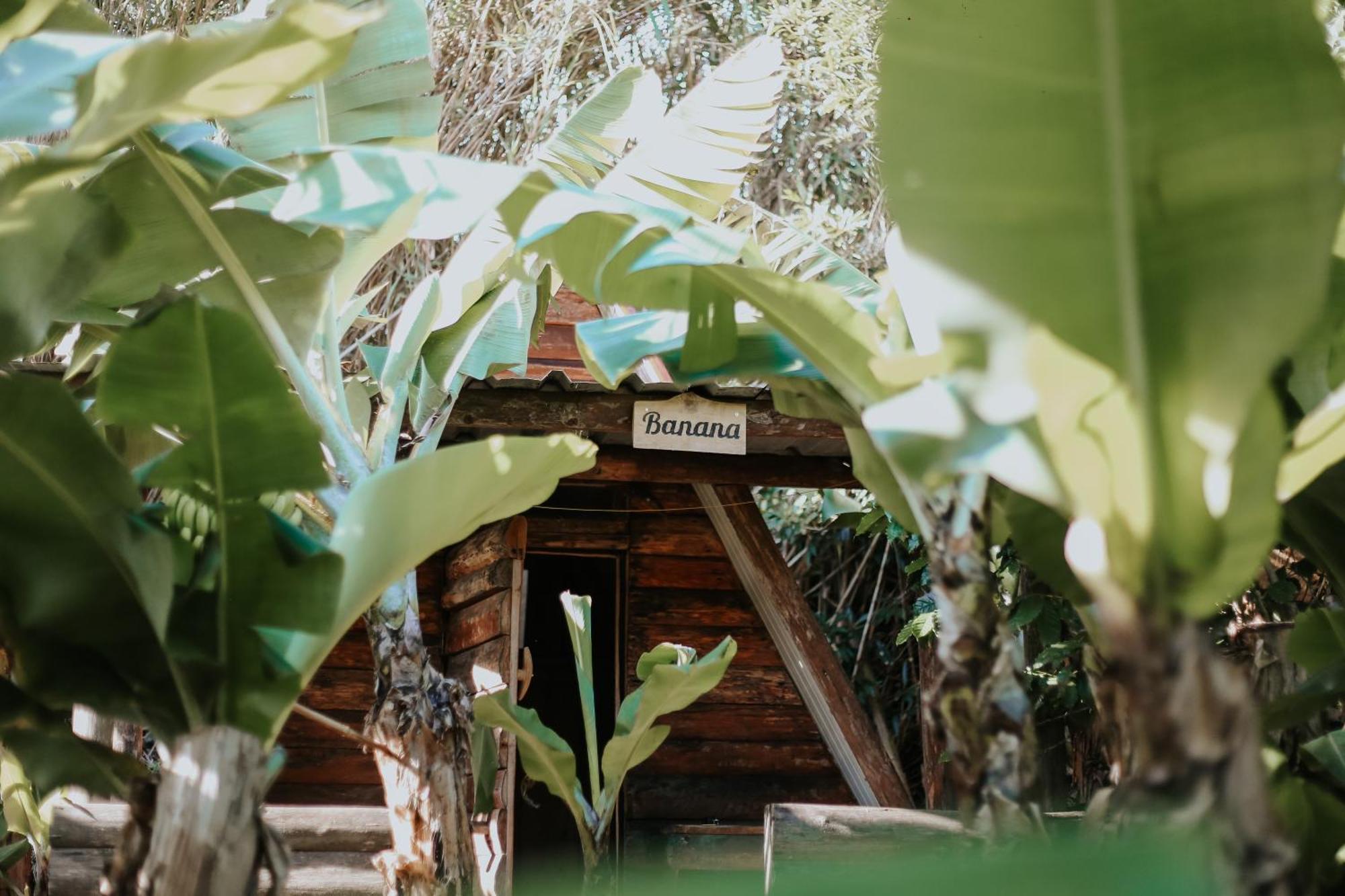 Banana Eco Camp
