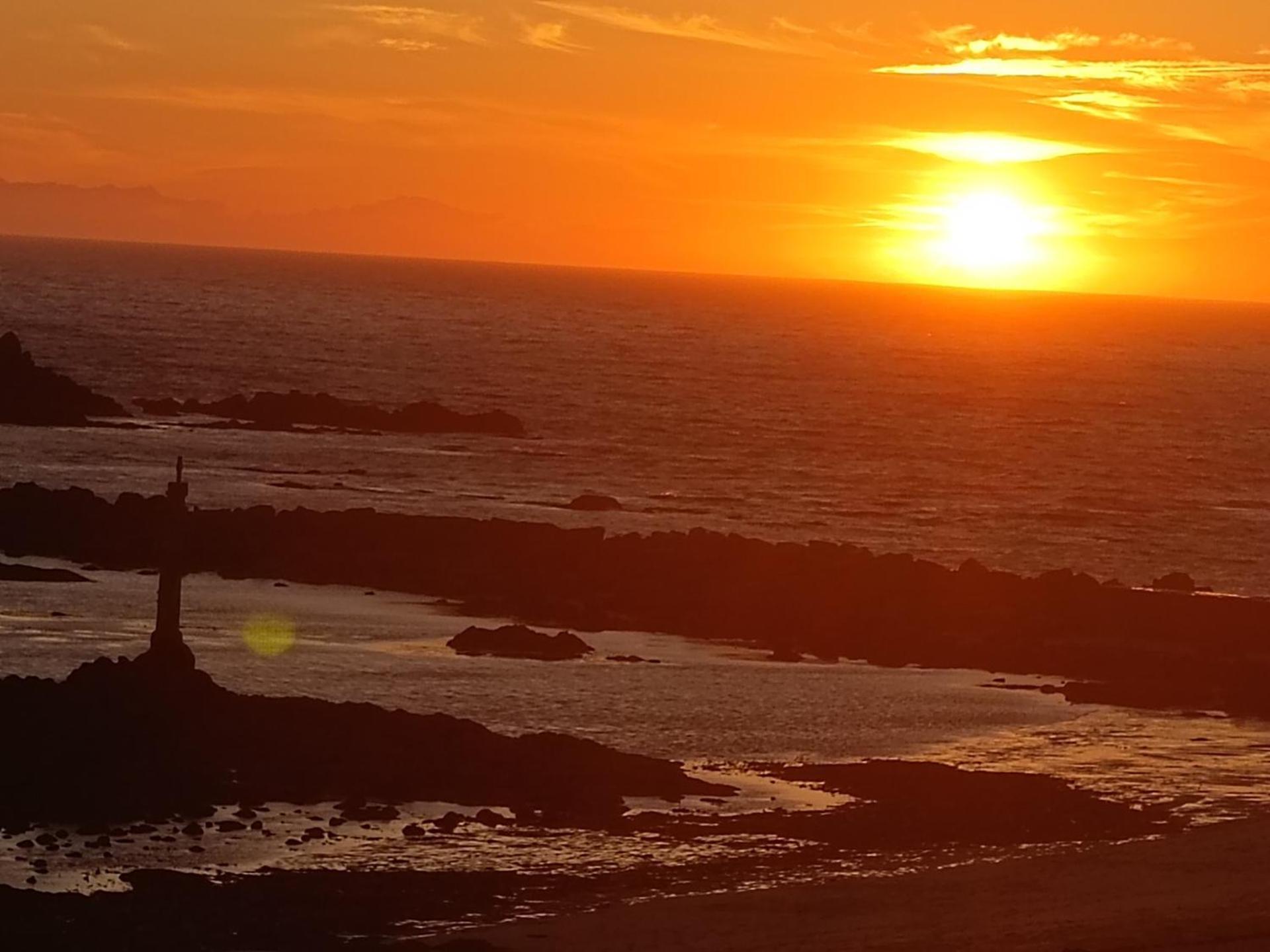Cachinnans & Hostal Vila do Conde