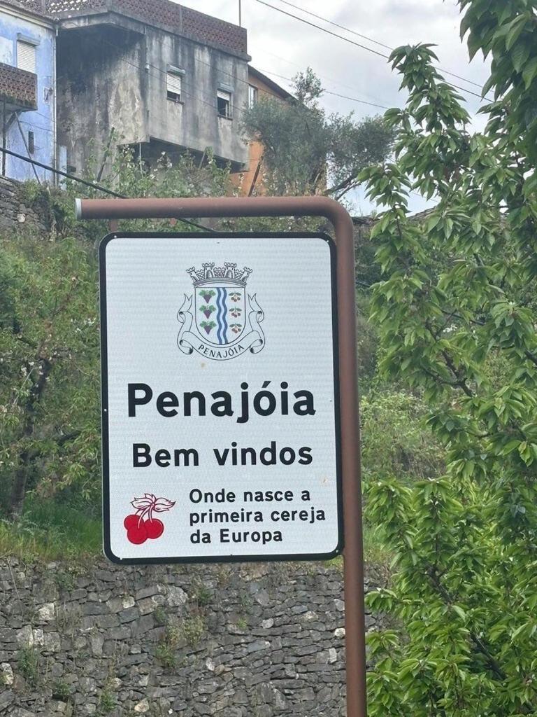 Historic Douro Valley Quinta Holiday home