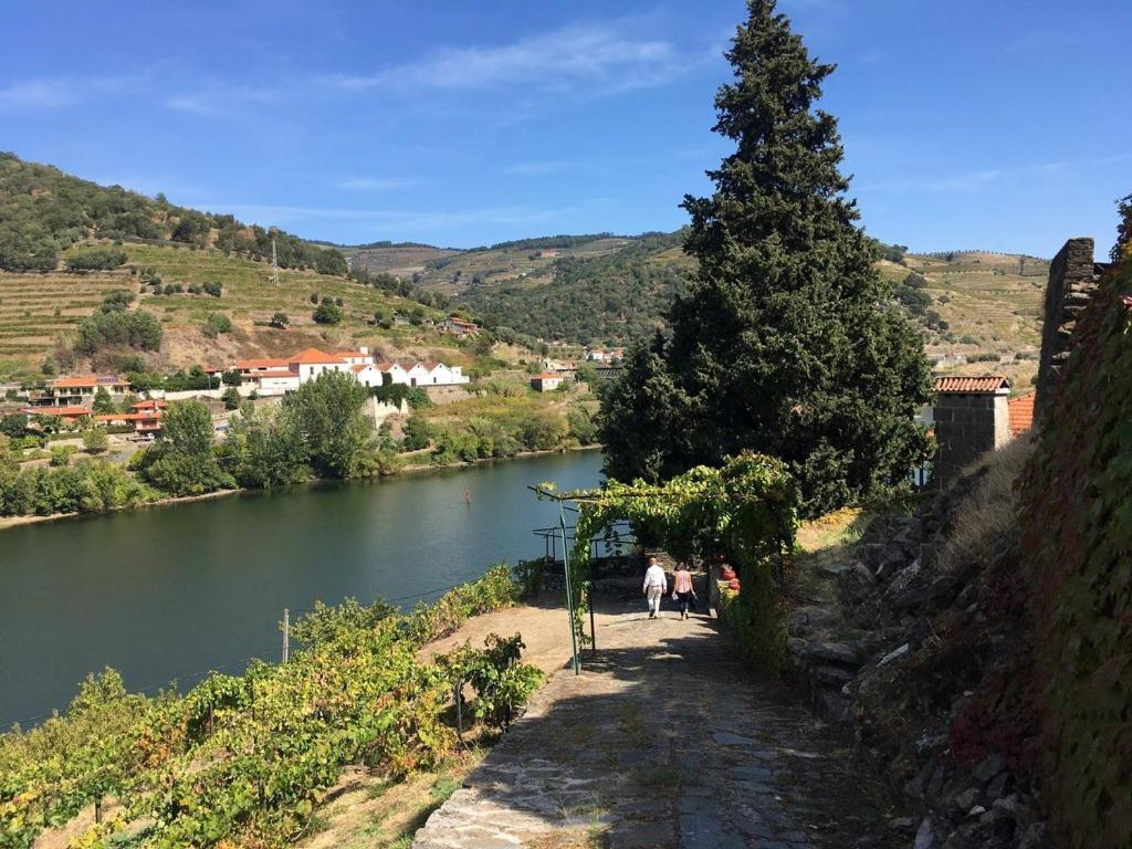 Historic Douro Valley Quinta