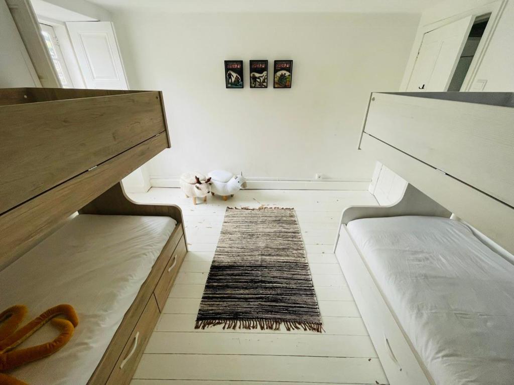Historic Douro Valley Quinta Holiday home