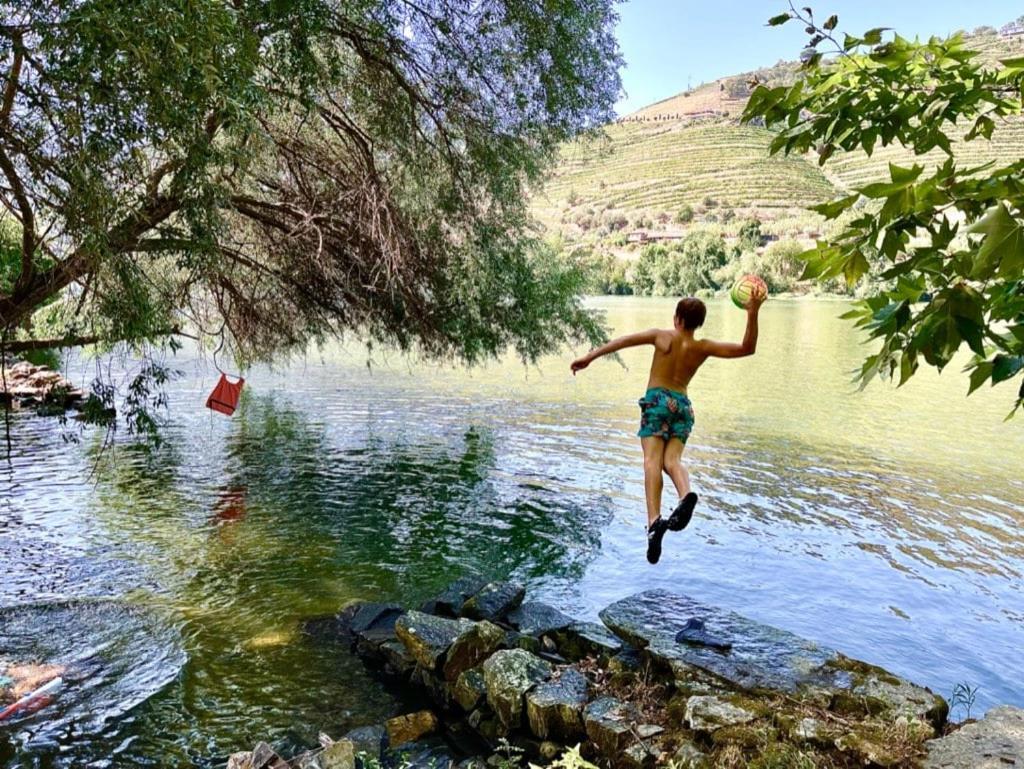Historic Douro Valley Quinta Holiday home Lamego