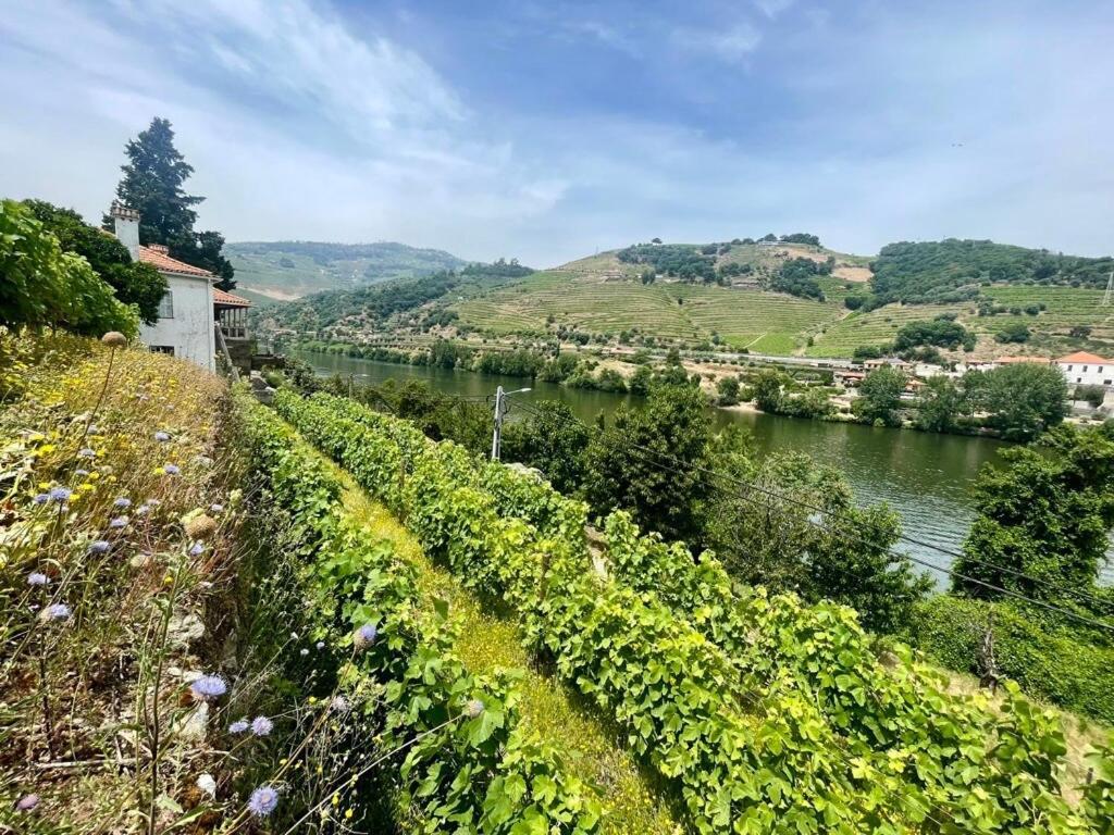 Holiday home Historic Douro Valley Quinta Lamego