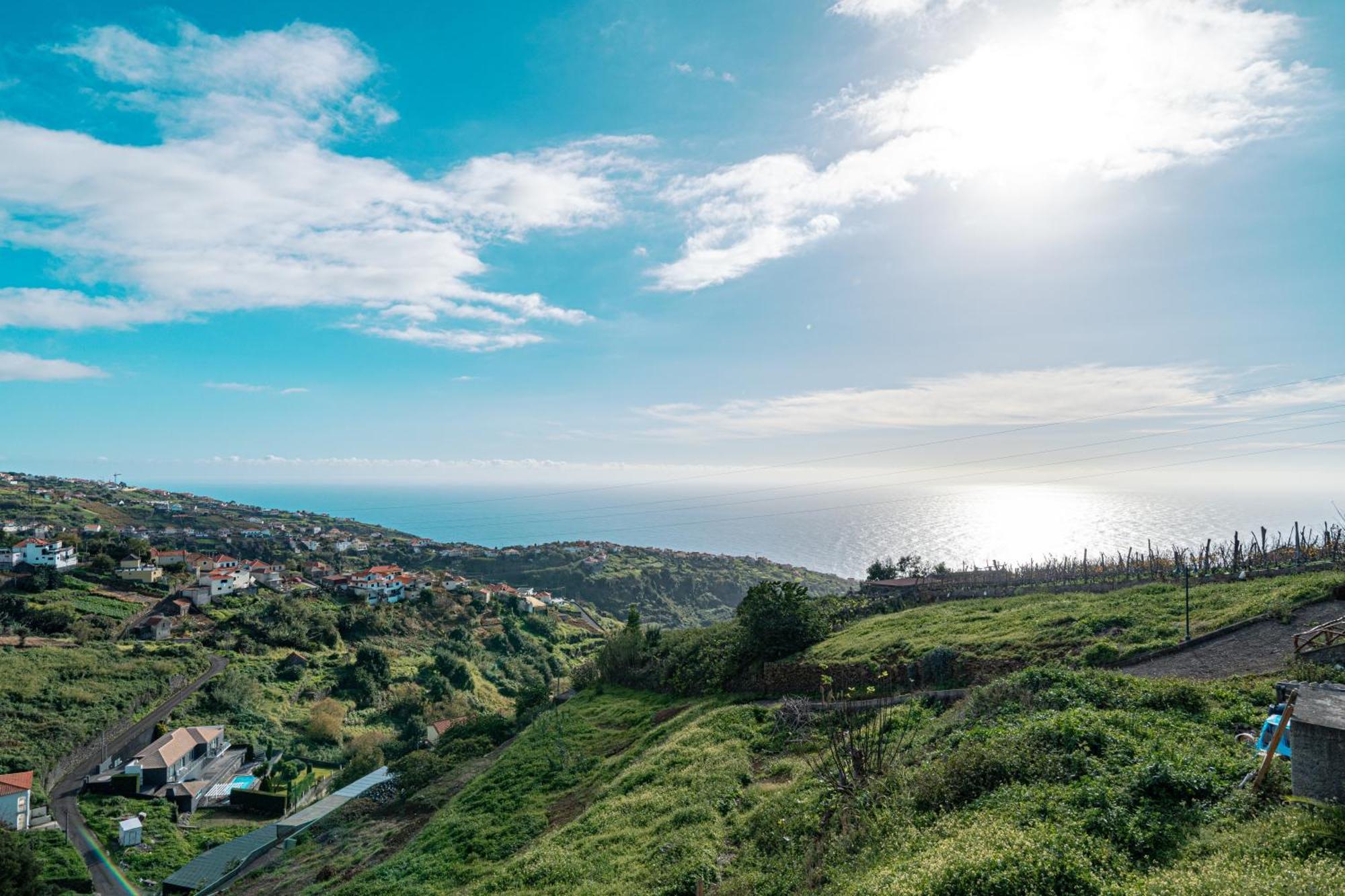 Pitaias Estreito Da Calheta