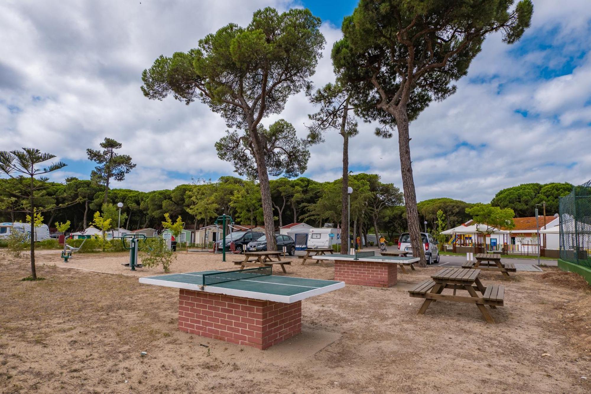 Campsite Parque De Campismo Orbitur Costa De Caparica Costa da Caparica