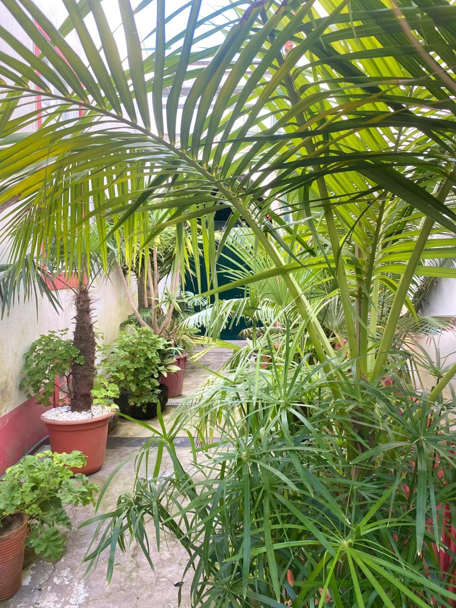 Casa De Santa Margarida Holiday home