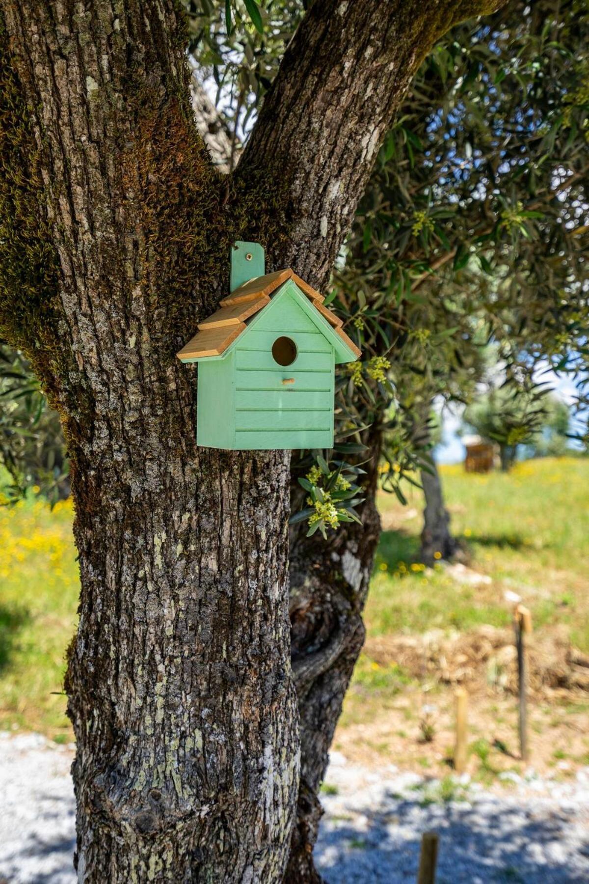 Holiday home Moinho De Palma De Naturalegre