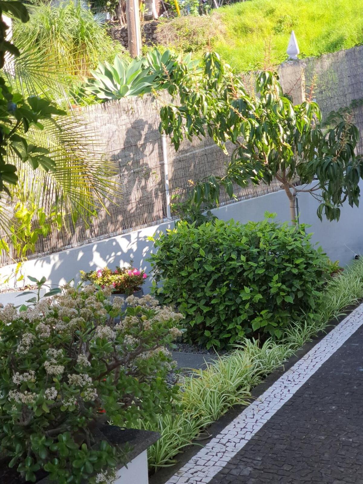 Villa Palmera Sea View