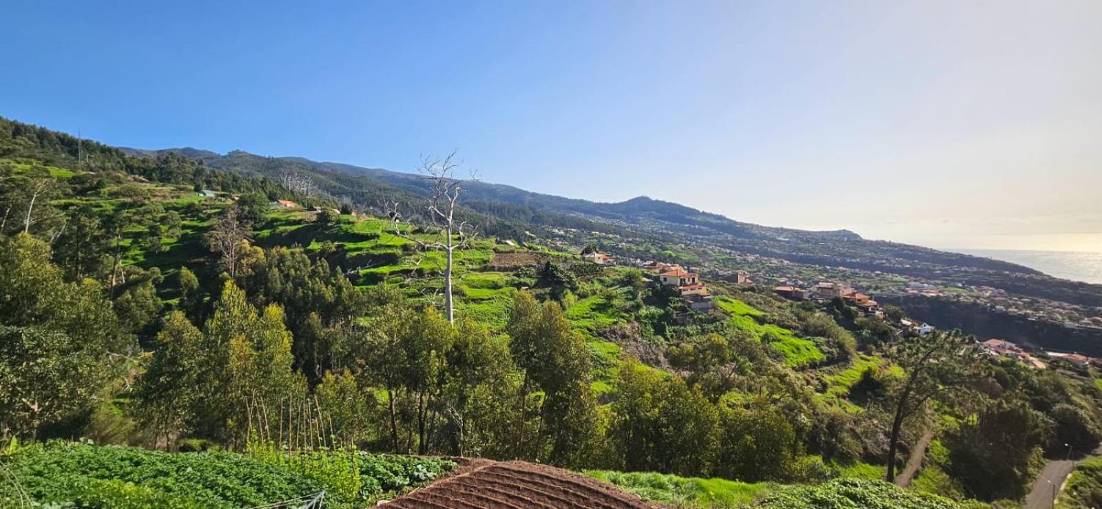 Casa Anjinho Estreito Da Calheta