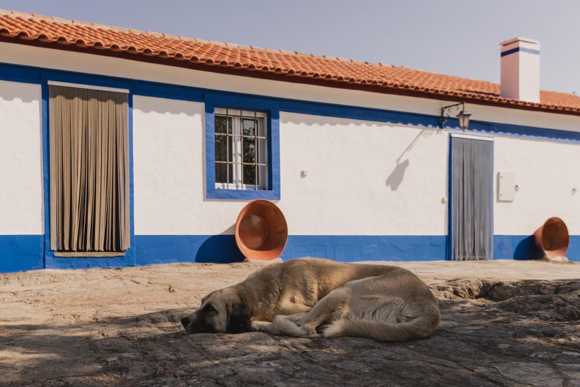 Monte Galhanas Farm stay *